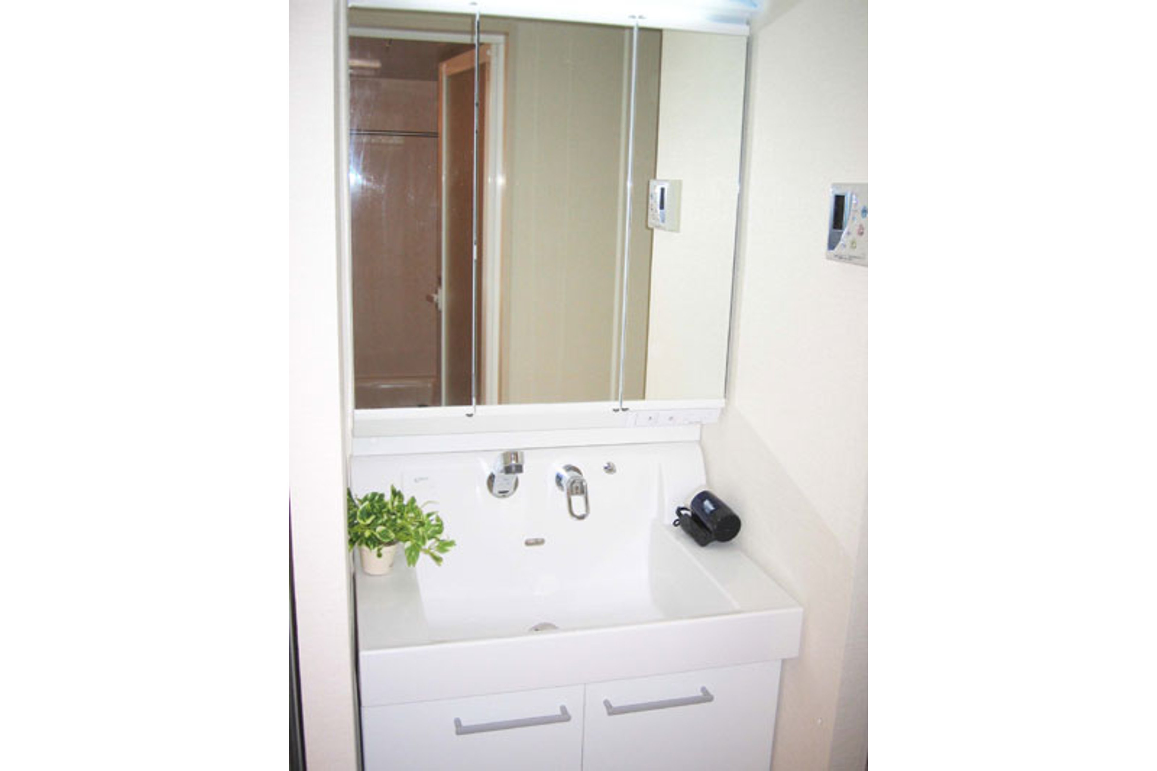 プラチナタイプのイメージ