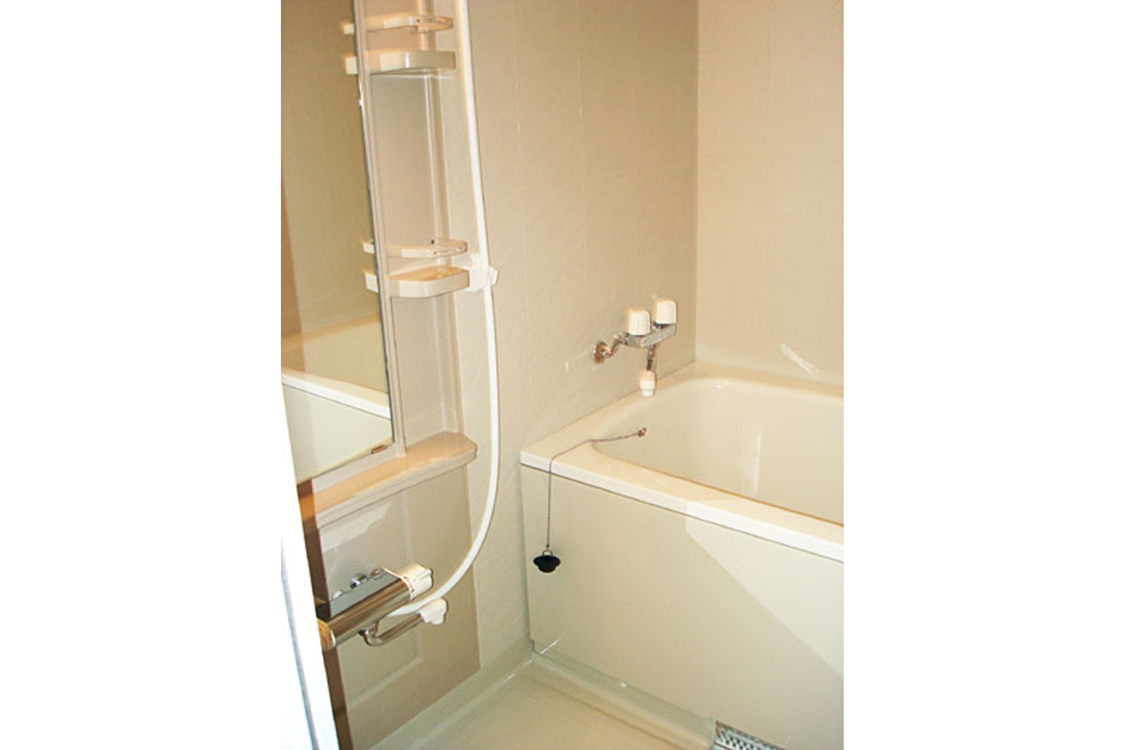 プラチナタイプのイメージ