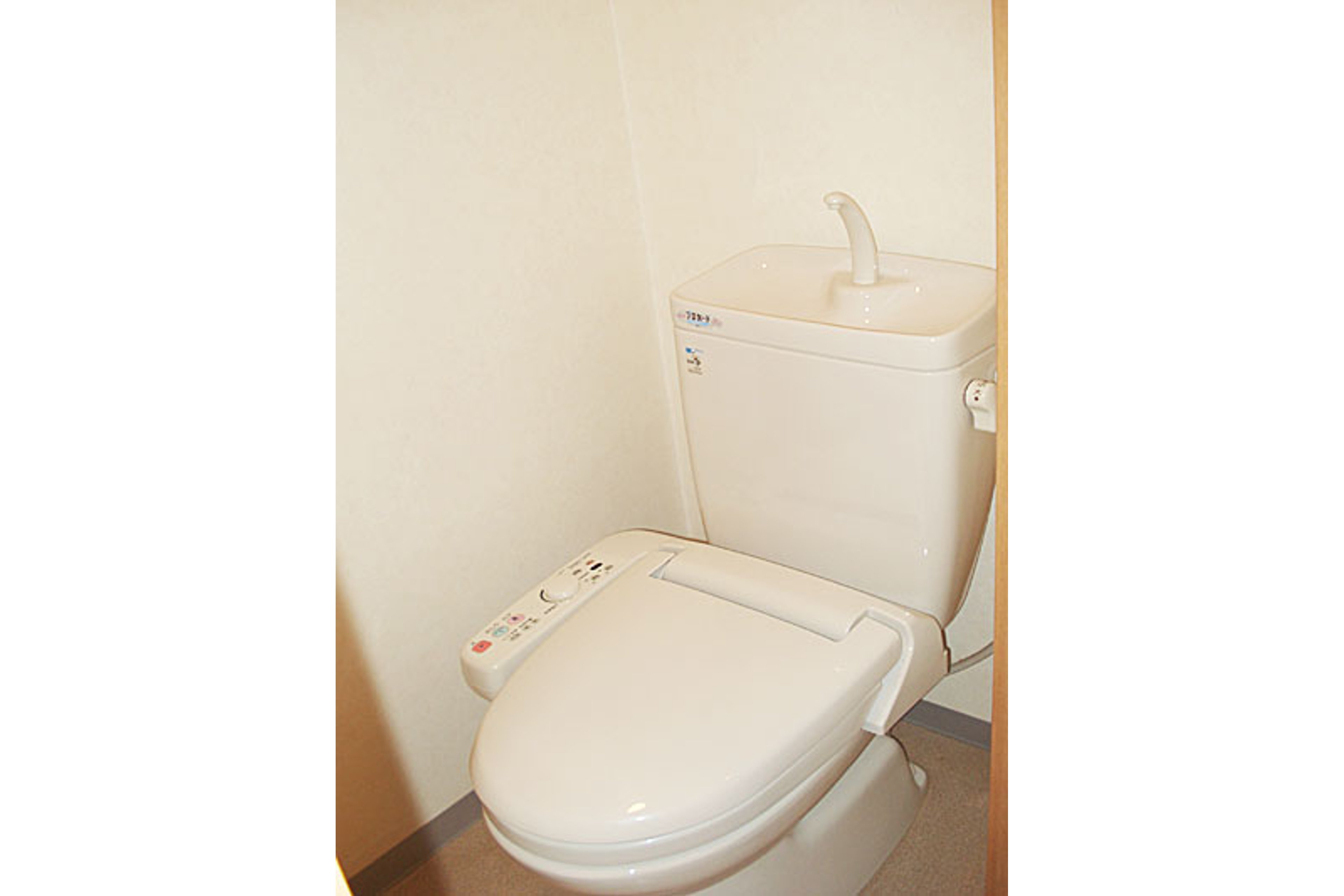 プラチナタイプのイメージ