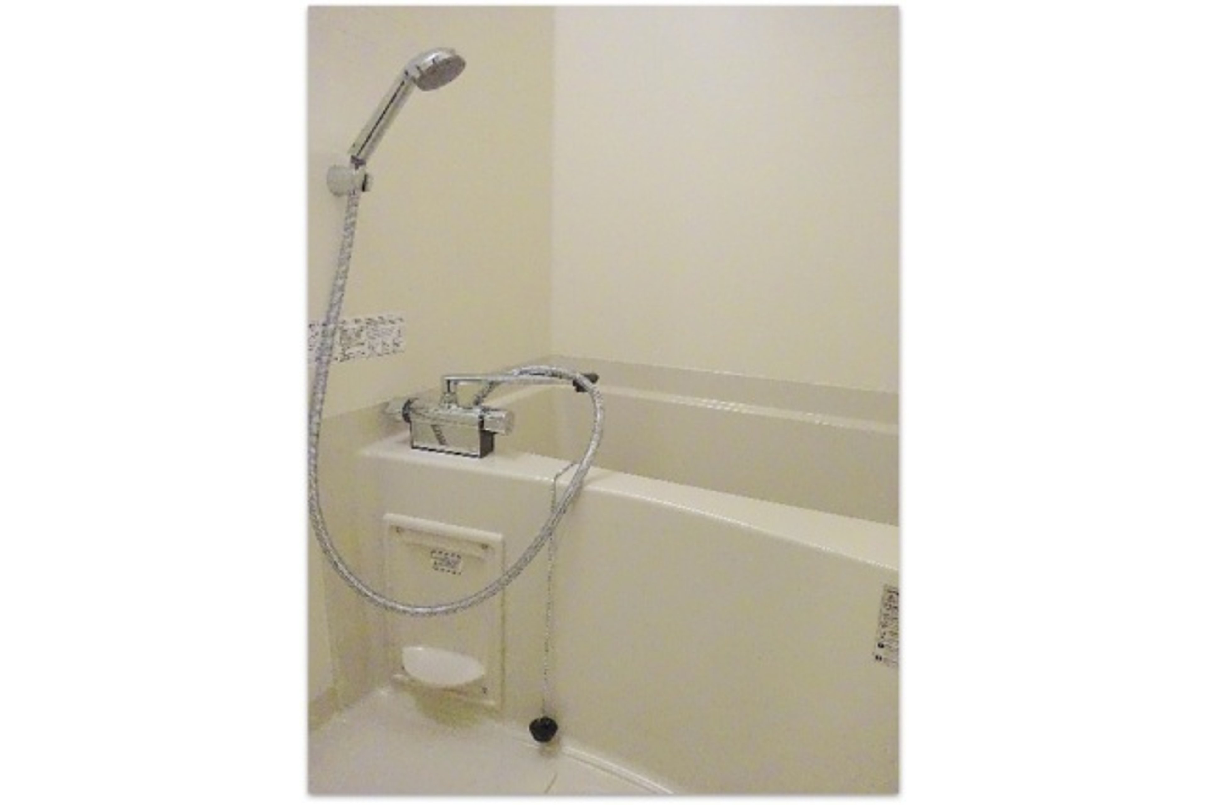 プラチナタイプのイメージ