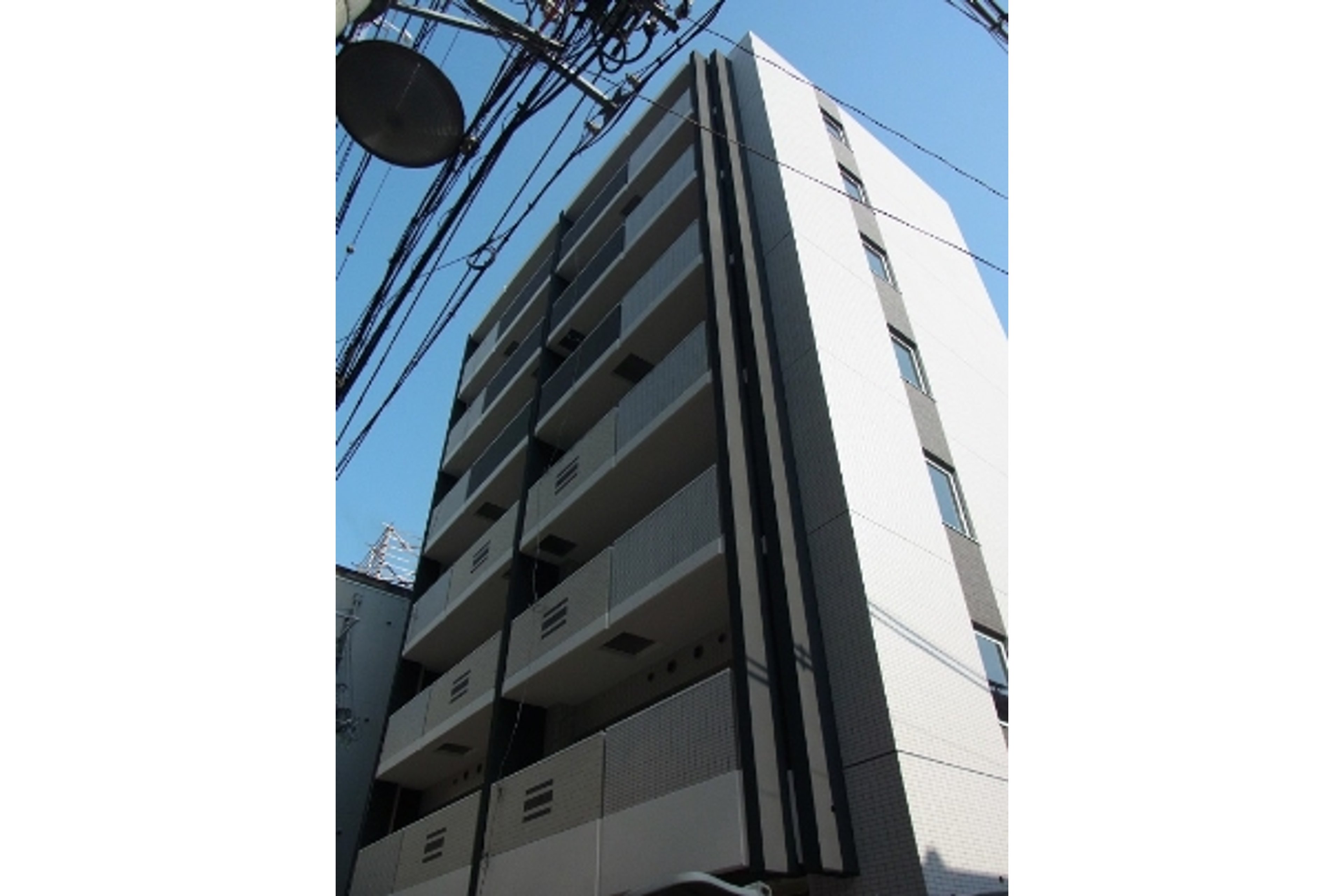 プラチナタイプのイメージ