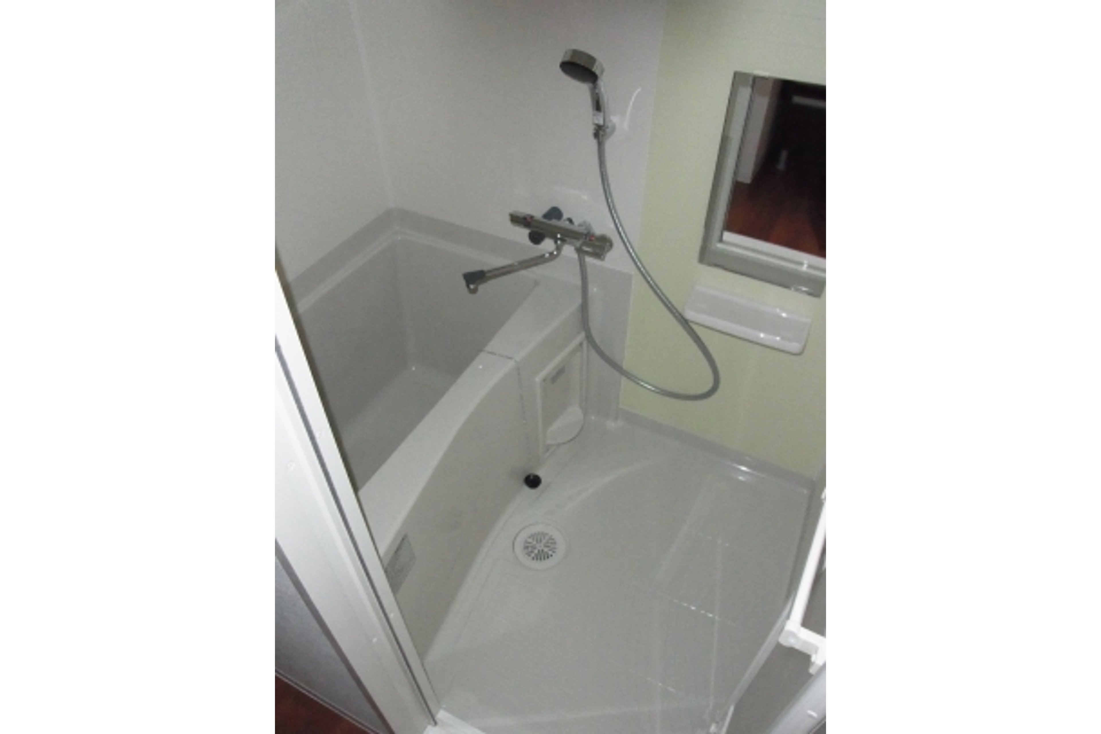 プラチナタイプのイメージ