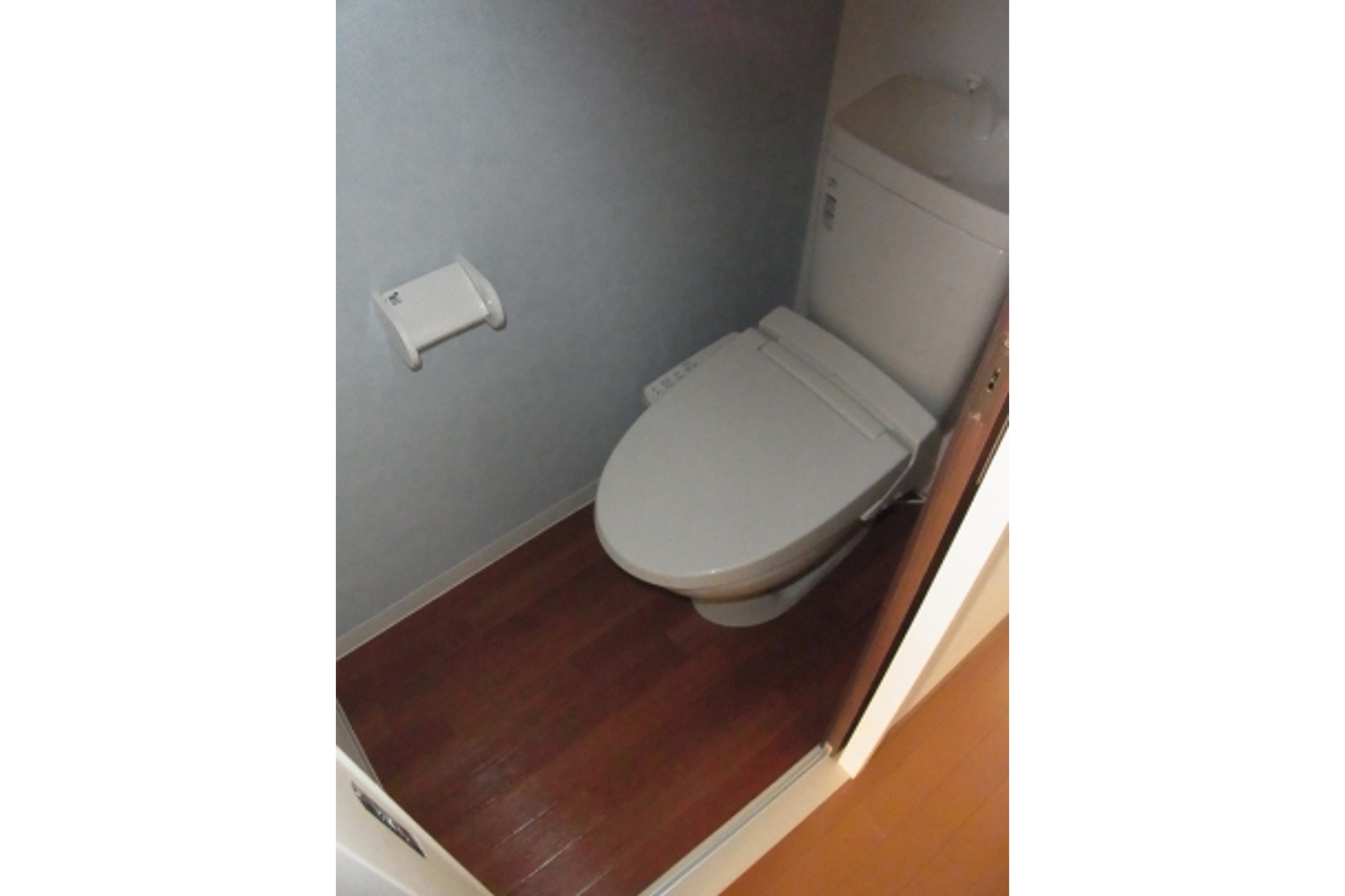 プラチナタイプのイメージ