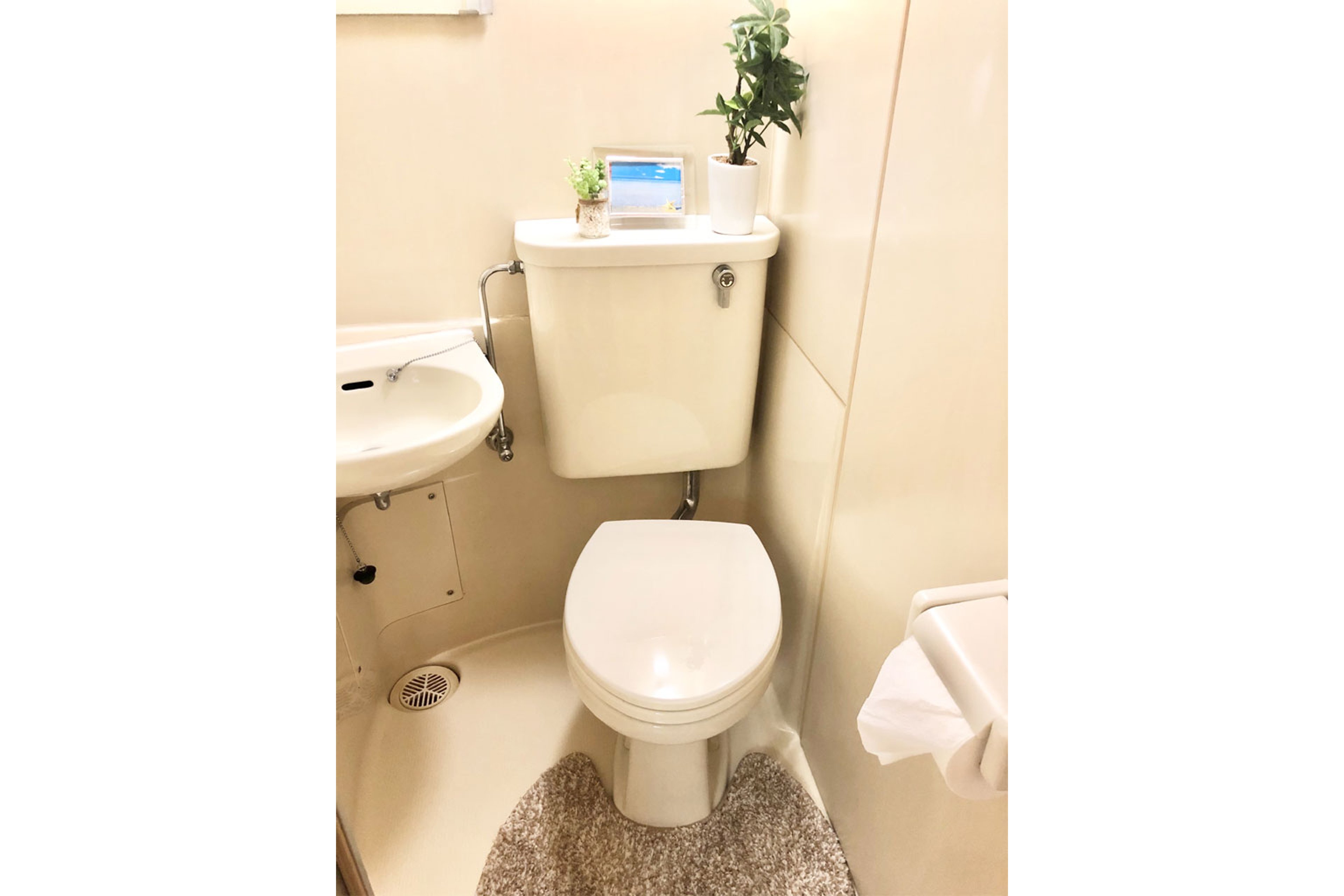 バリュータイプのイメージ