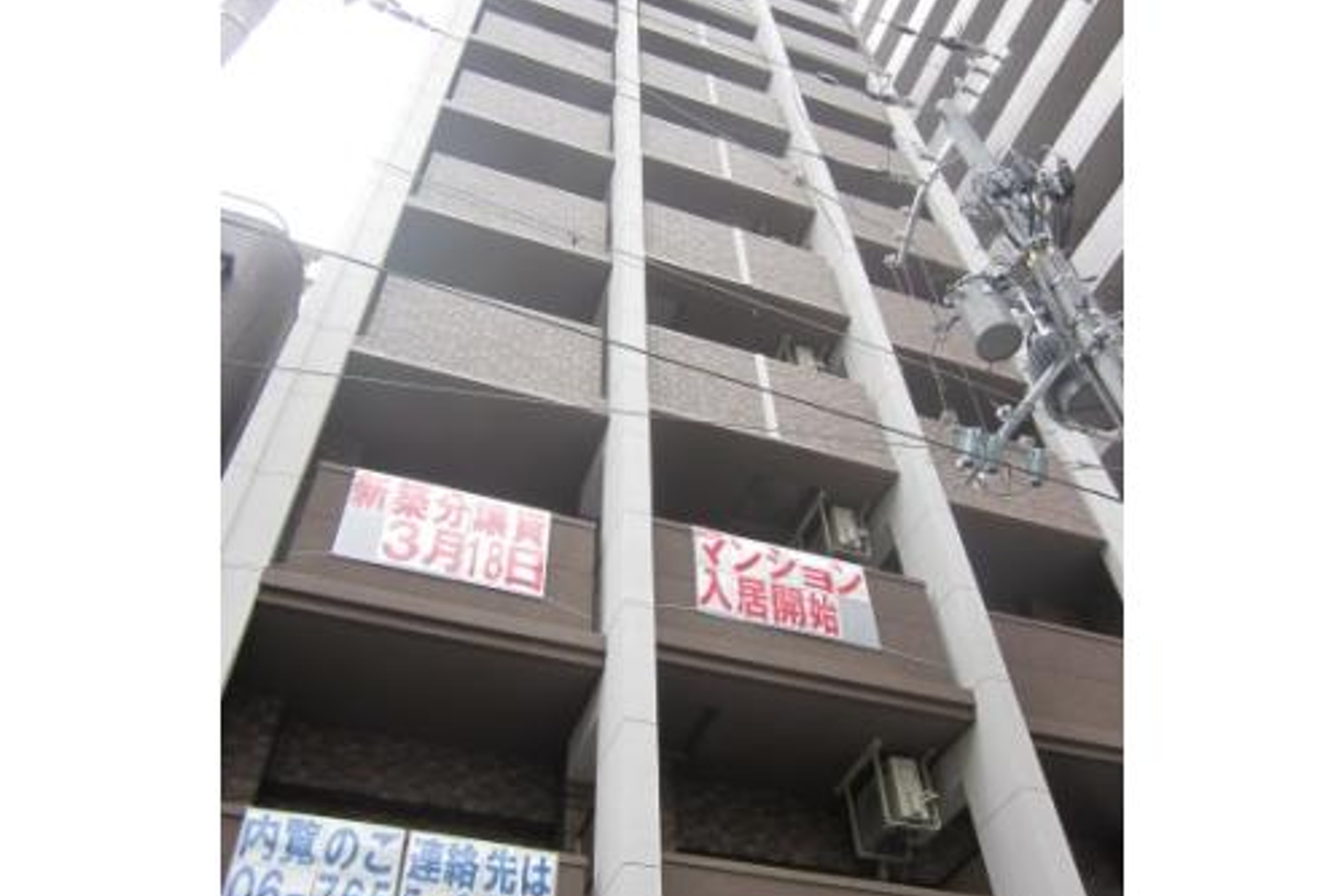 プラチナタイプのイメージ