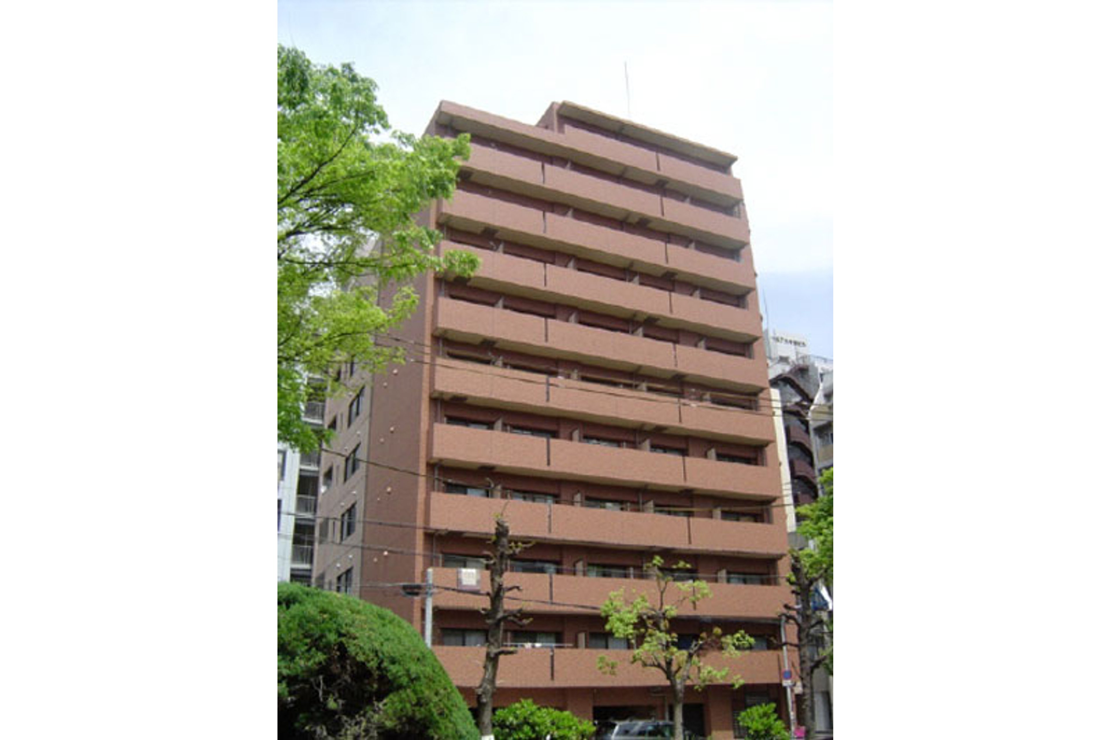 スタンダードタイプのイメージ