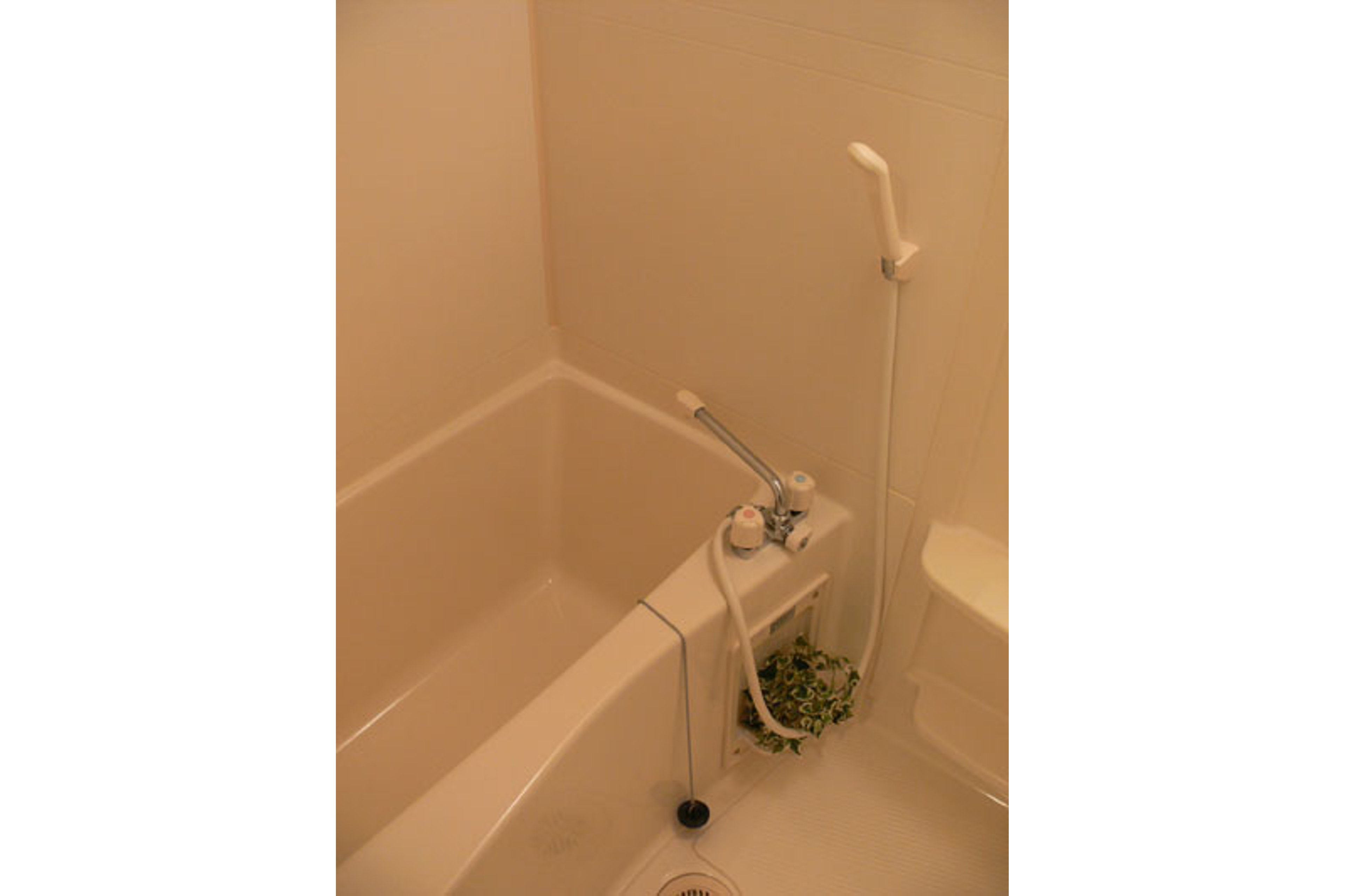 ハイグレードタイプのイメージ