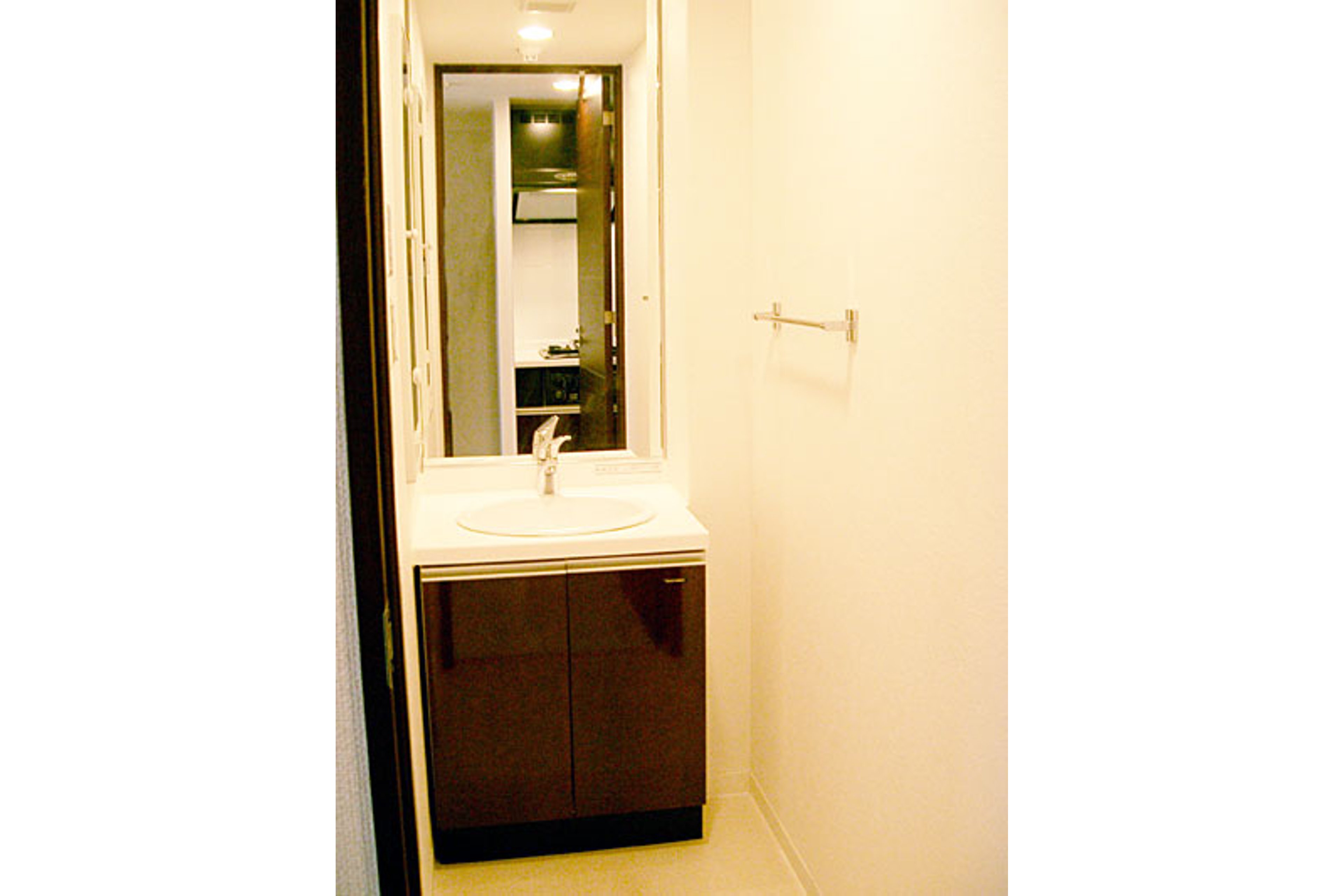 プラチナタイプのイメージ