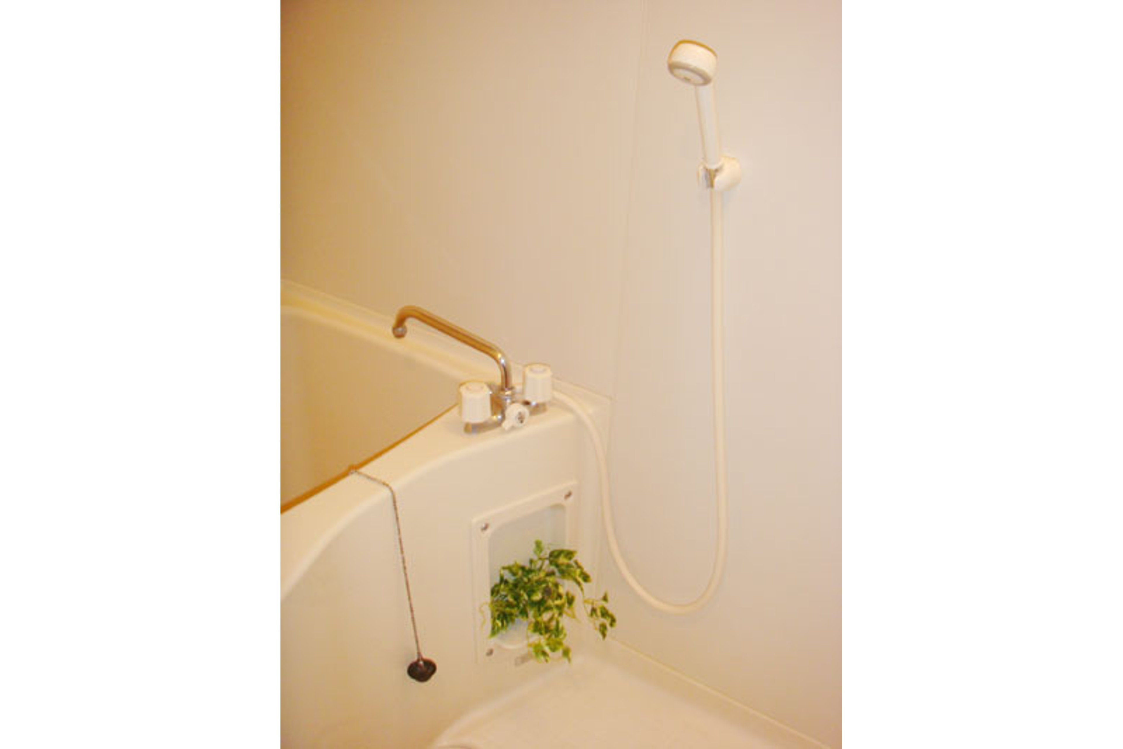 スタンダードタイプのイメージ