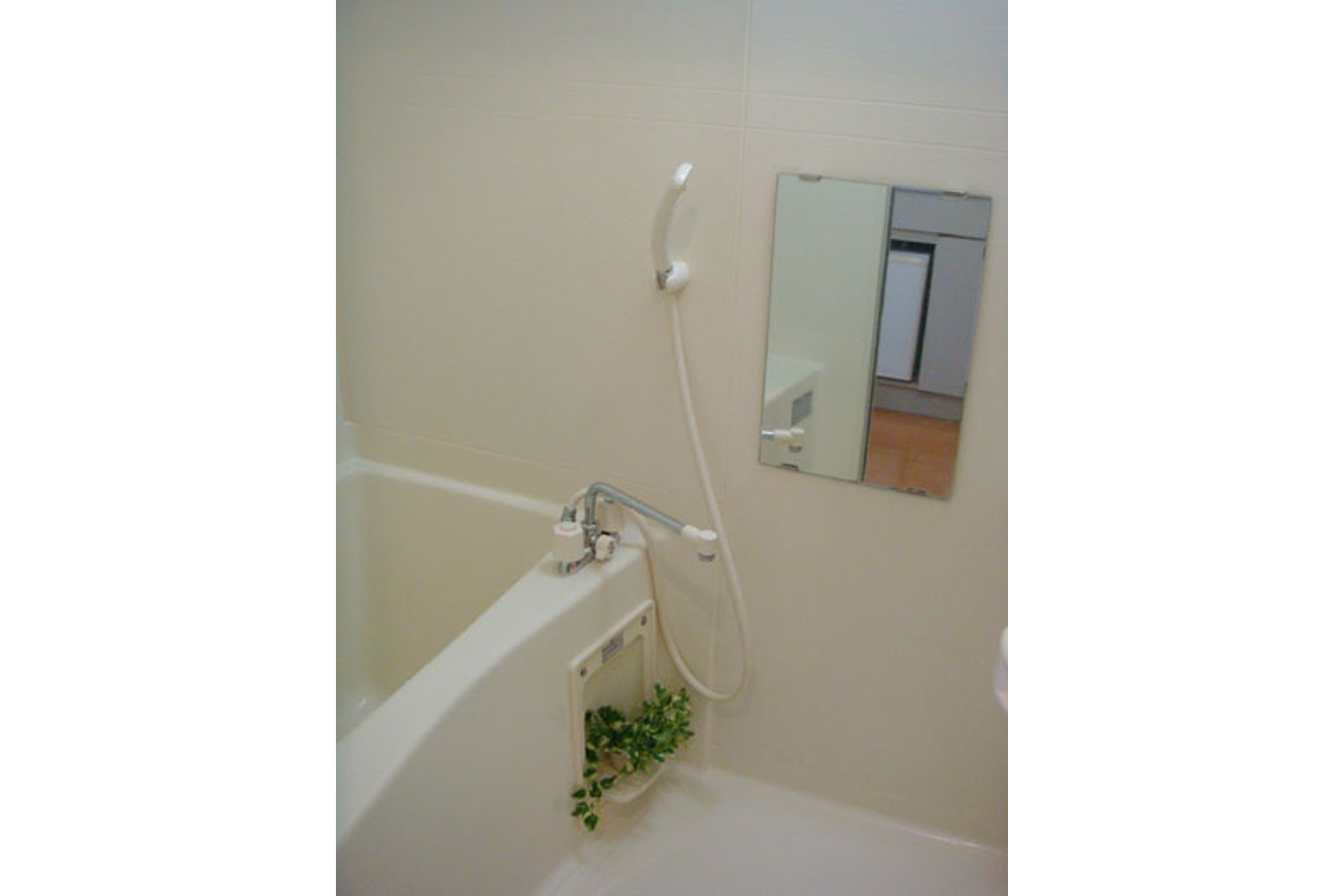 スタンダードタイプのイメージ