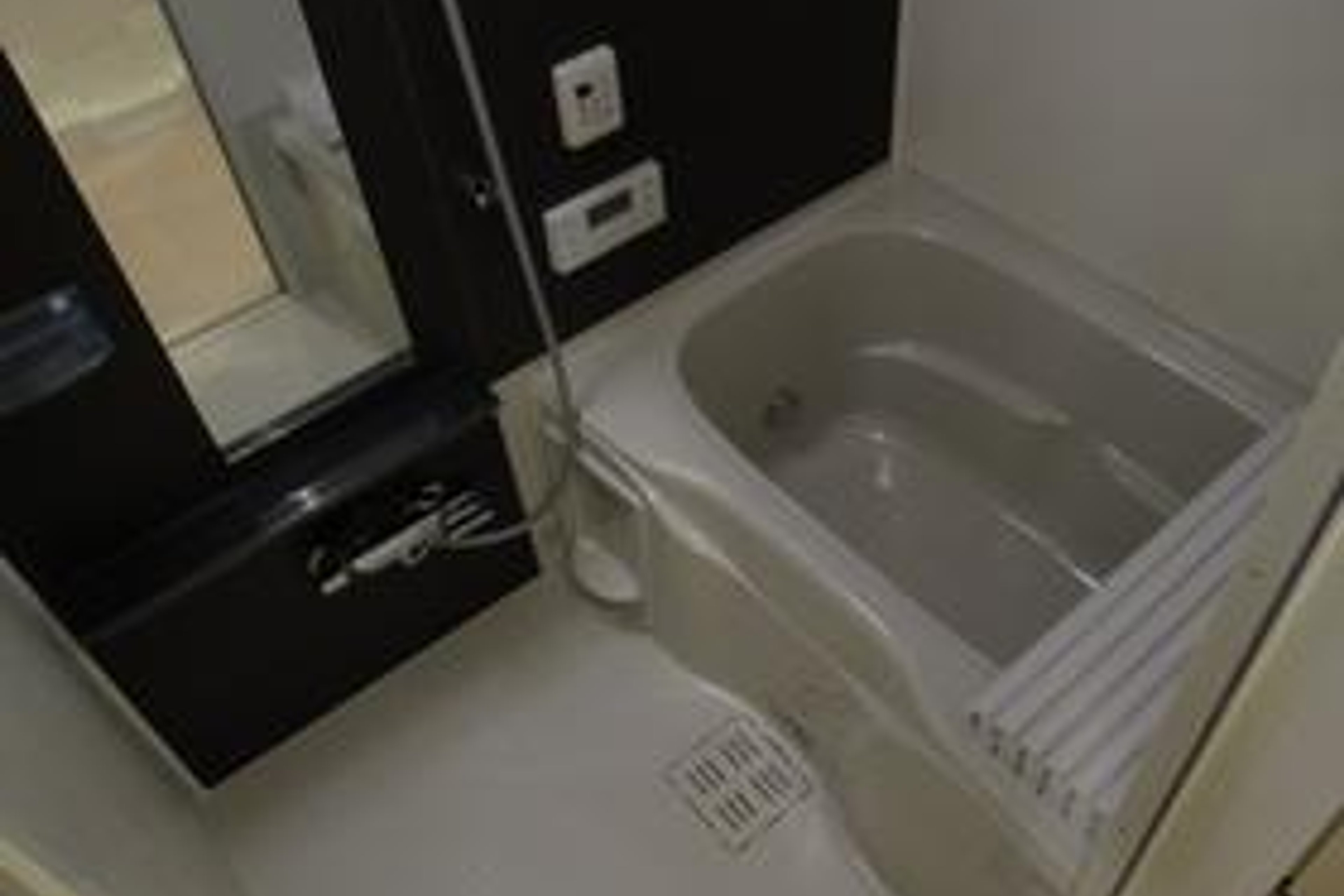 プラチナタイプのイメージ