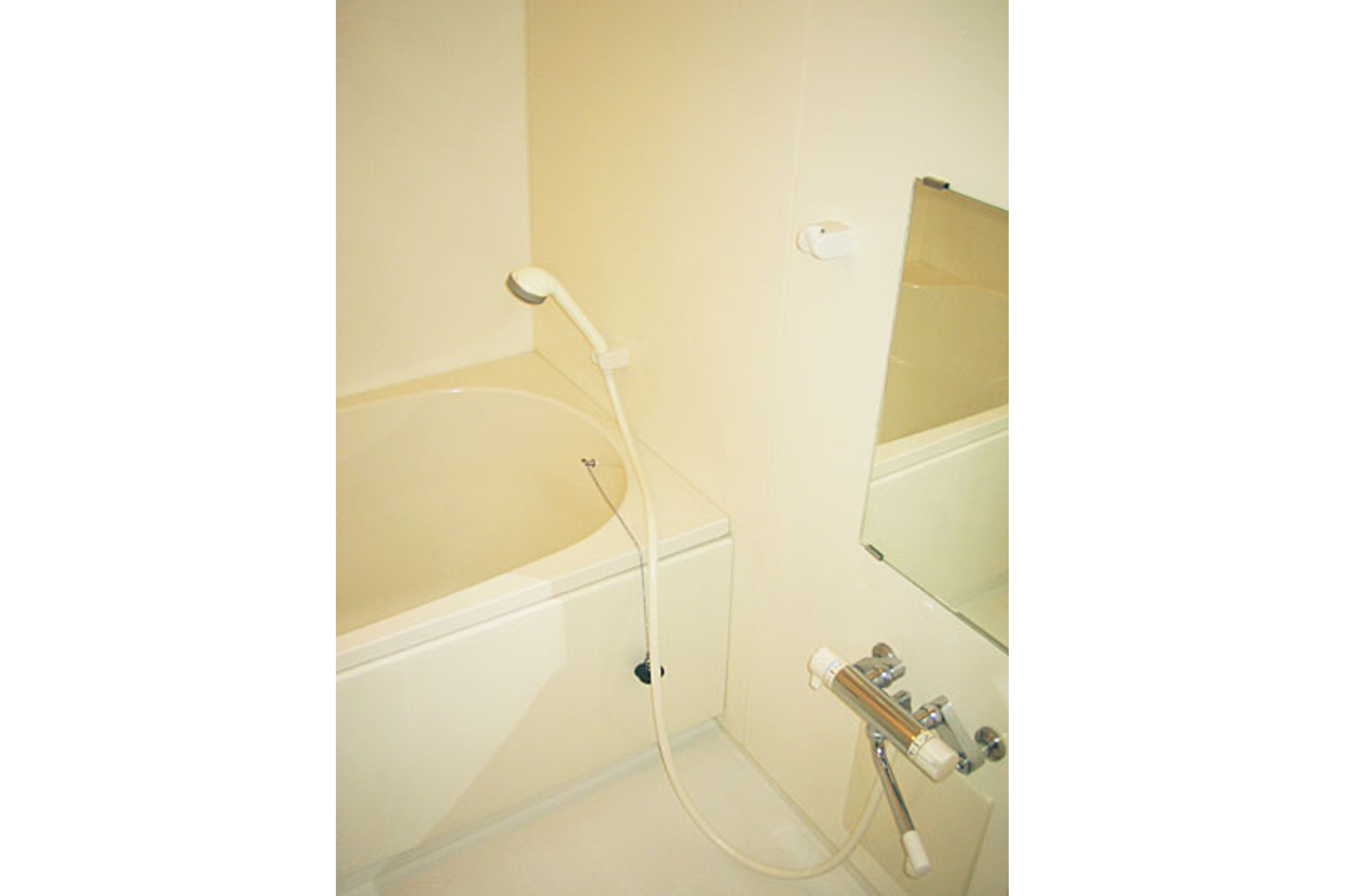 スタンダードタイプのイメージ