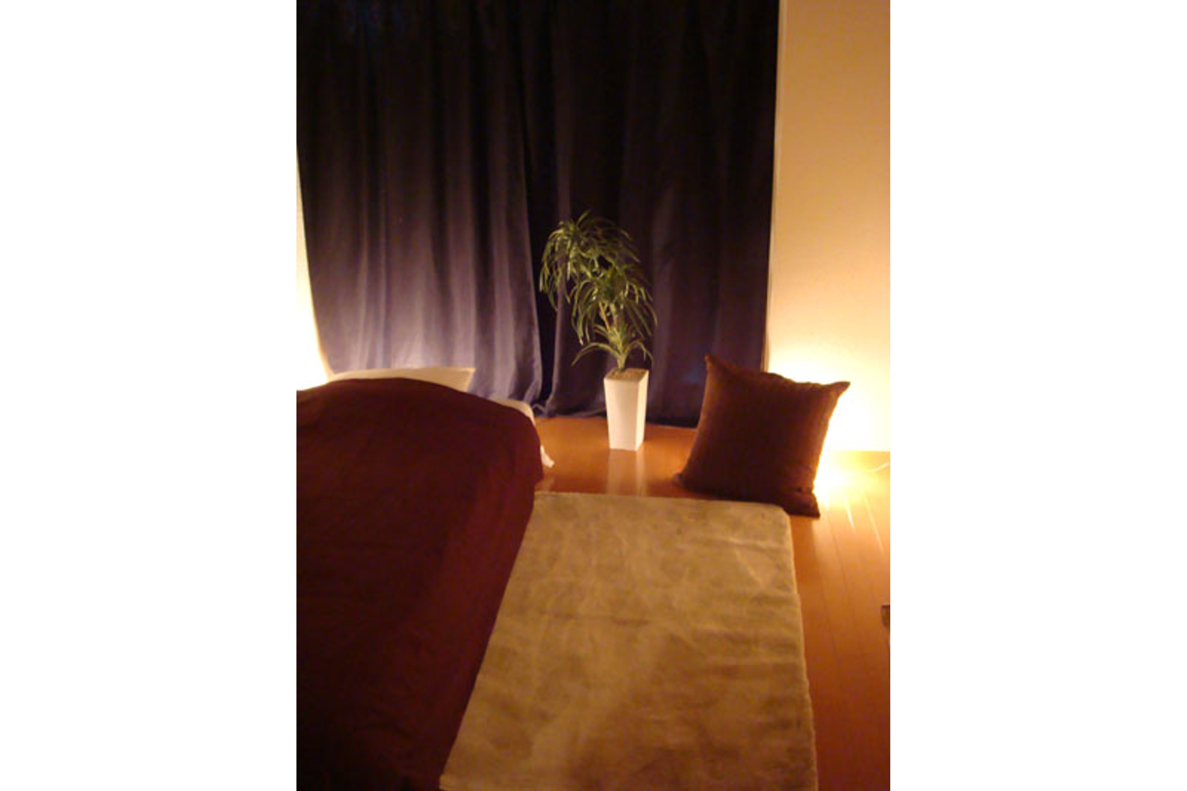 スタンダードタイプのイメージ