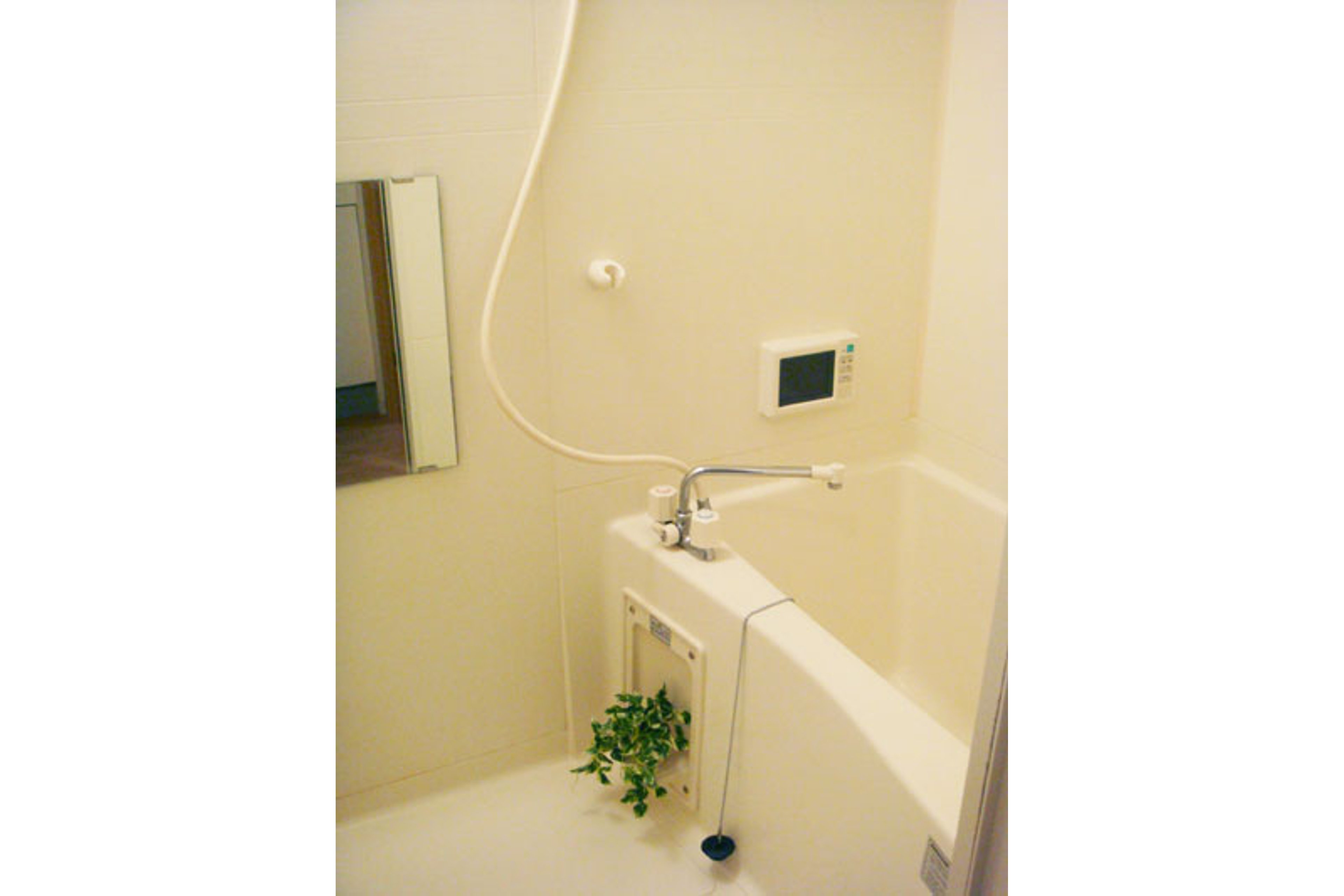 スタンダードタイプのイメージ