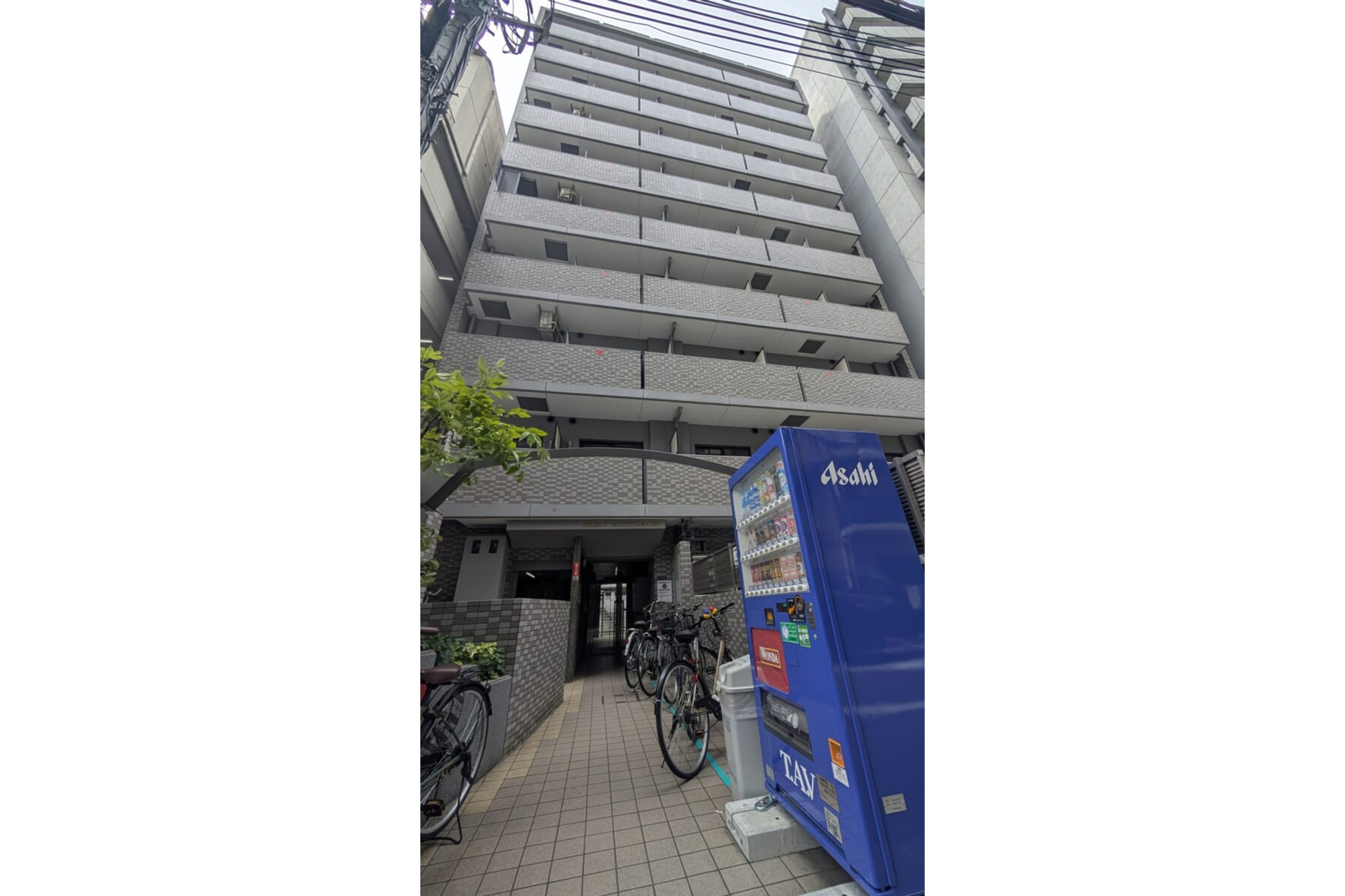 スタンダードタイプのイメージ