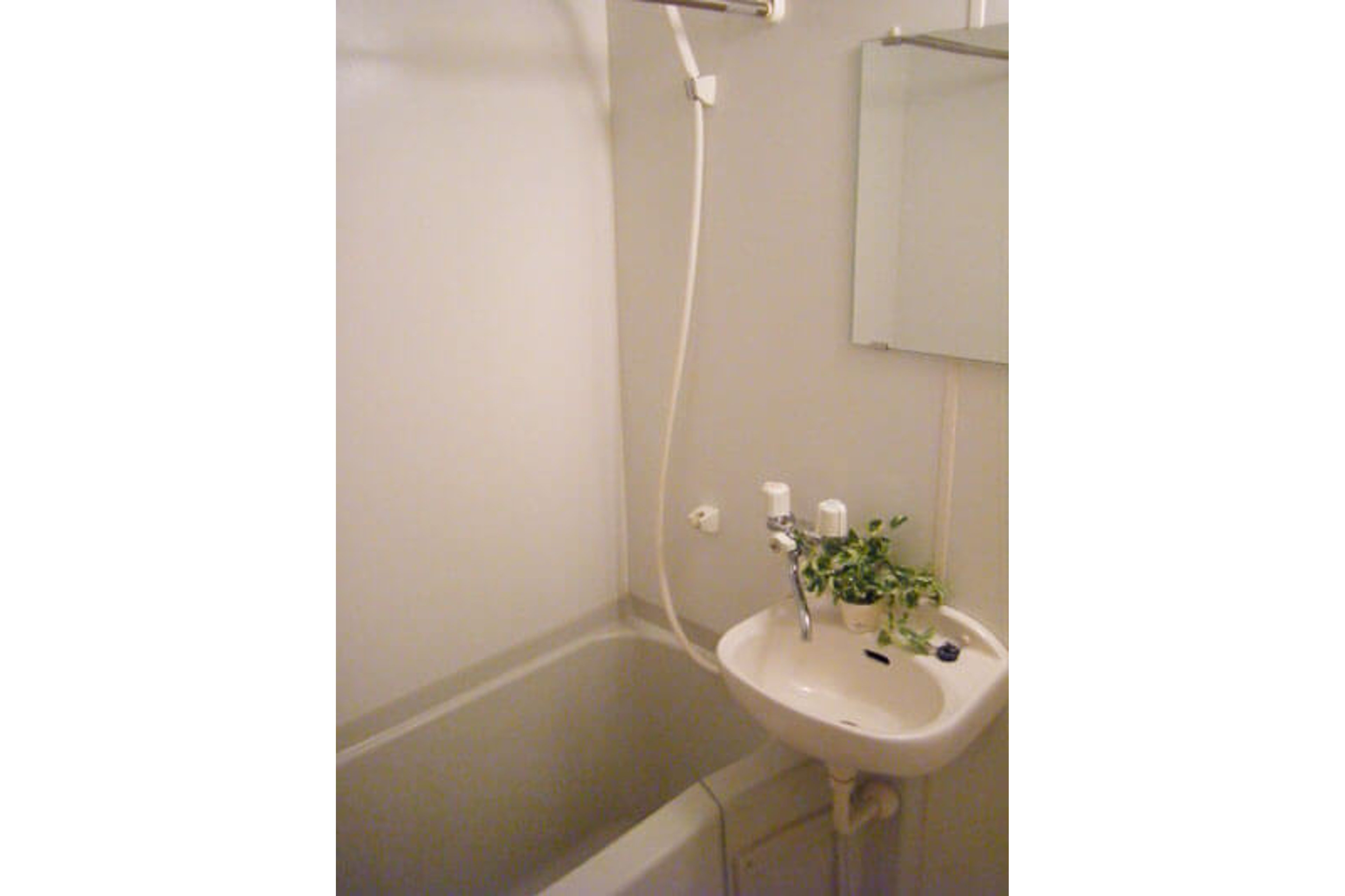 スタンダードタイプのイメージ