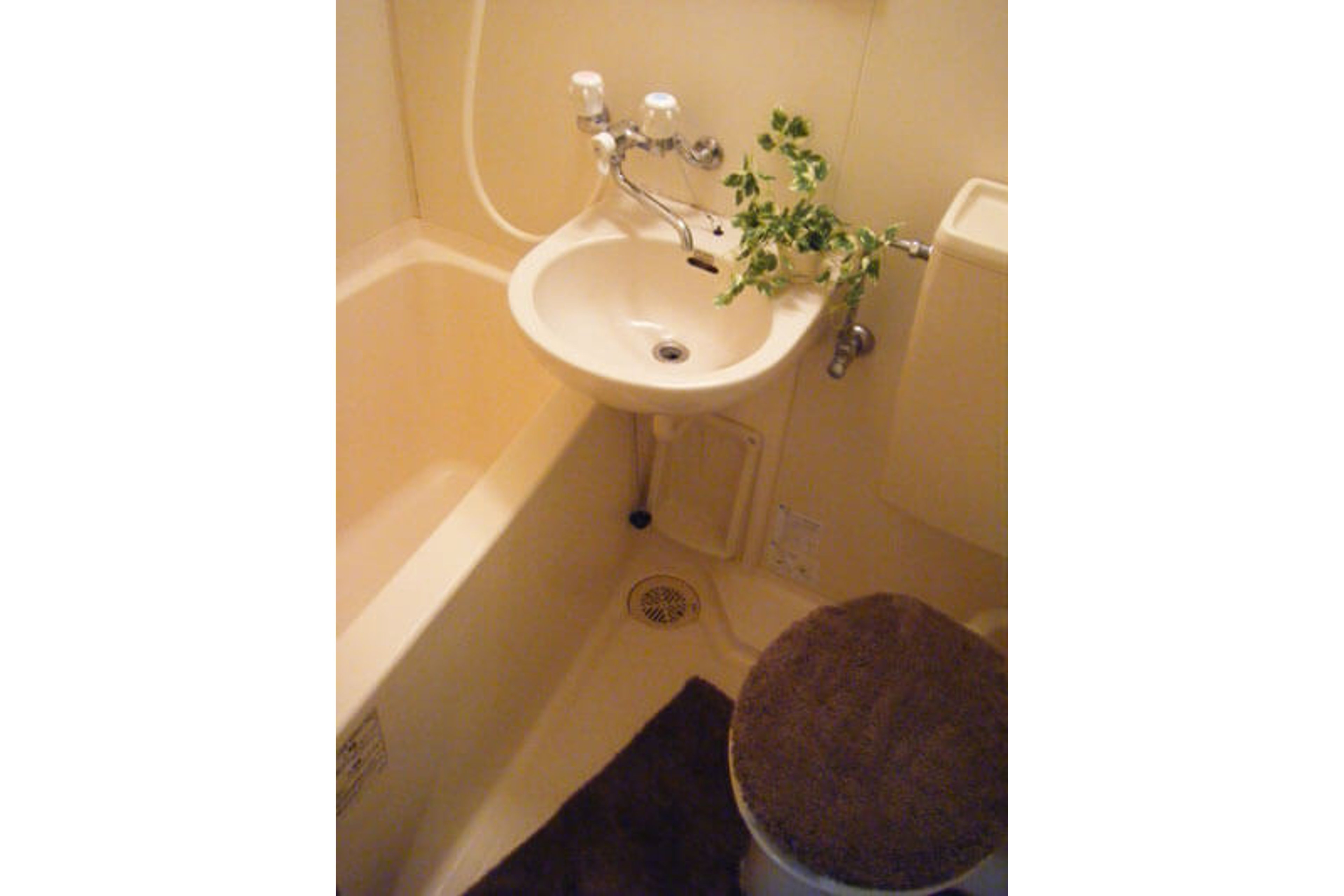 バリュータイプのイメージ