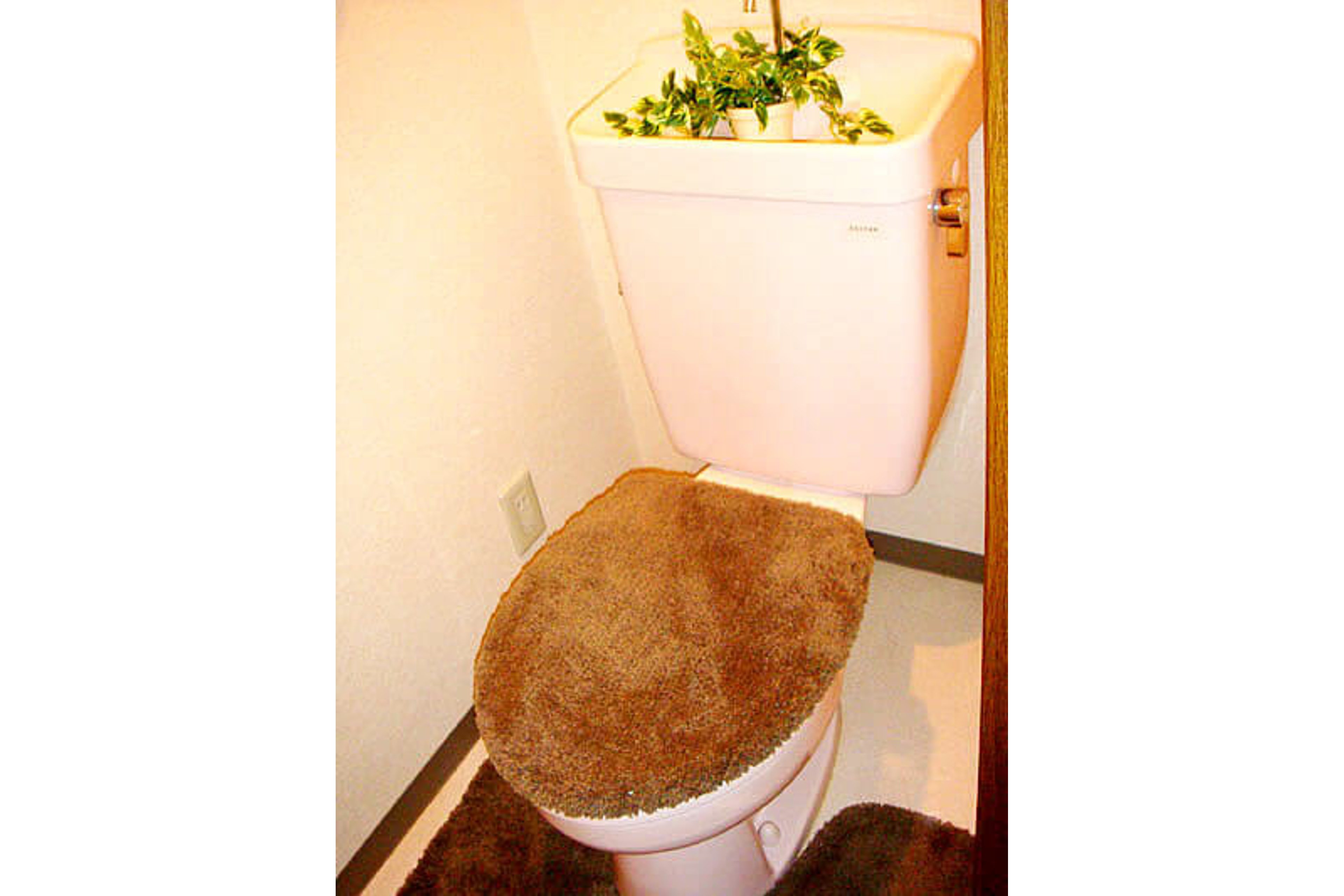 バリュータイプのイメージ