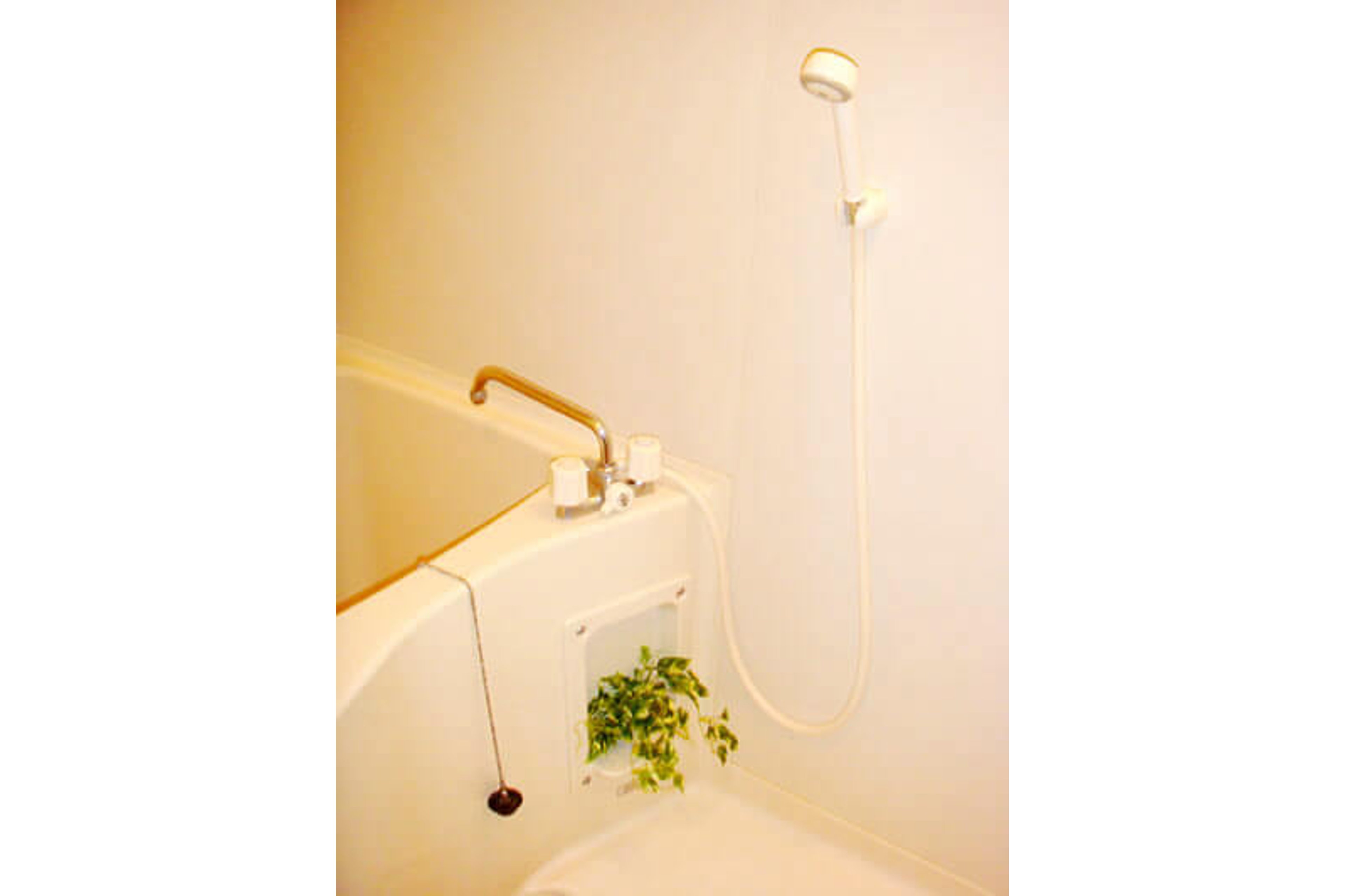 バリュータイプのイメージ