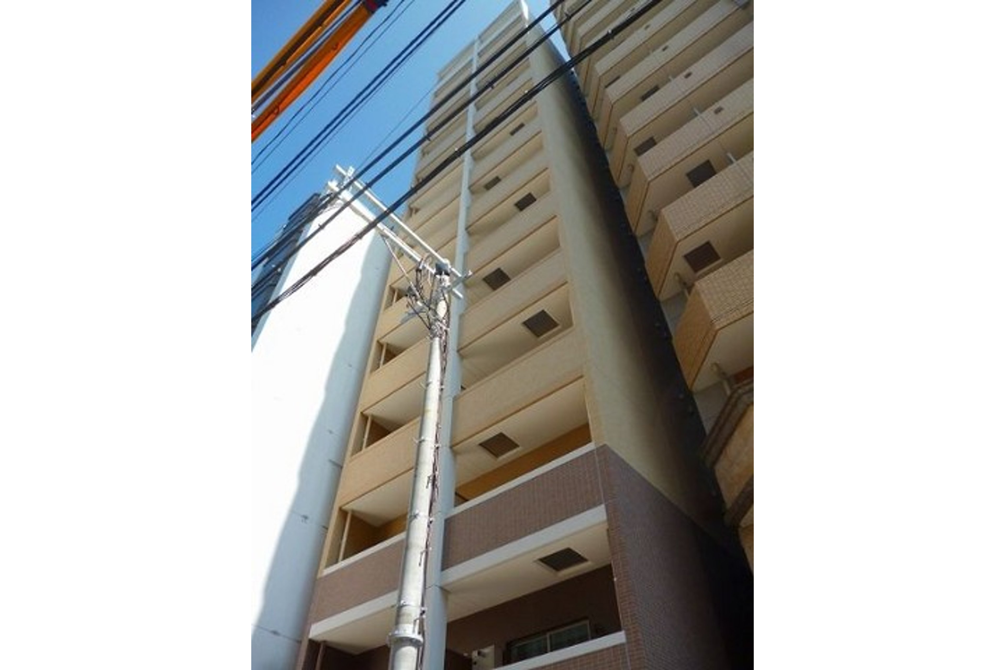 プラチナタイプのイメージ