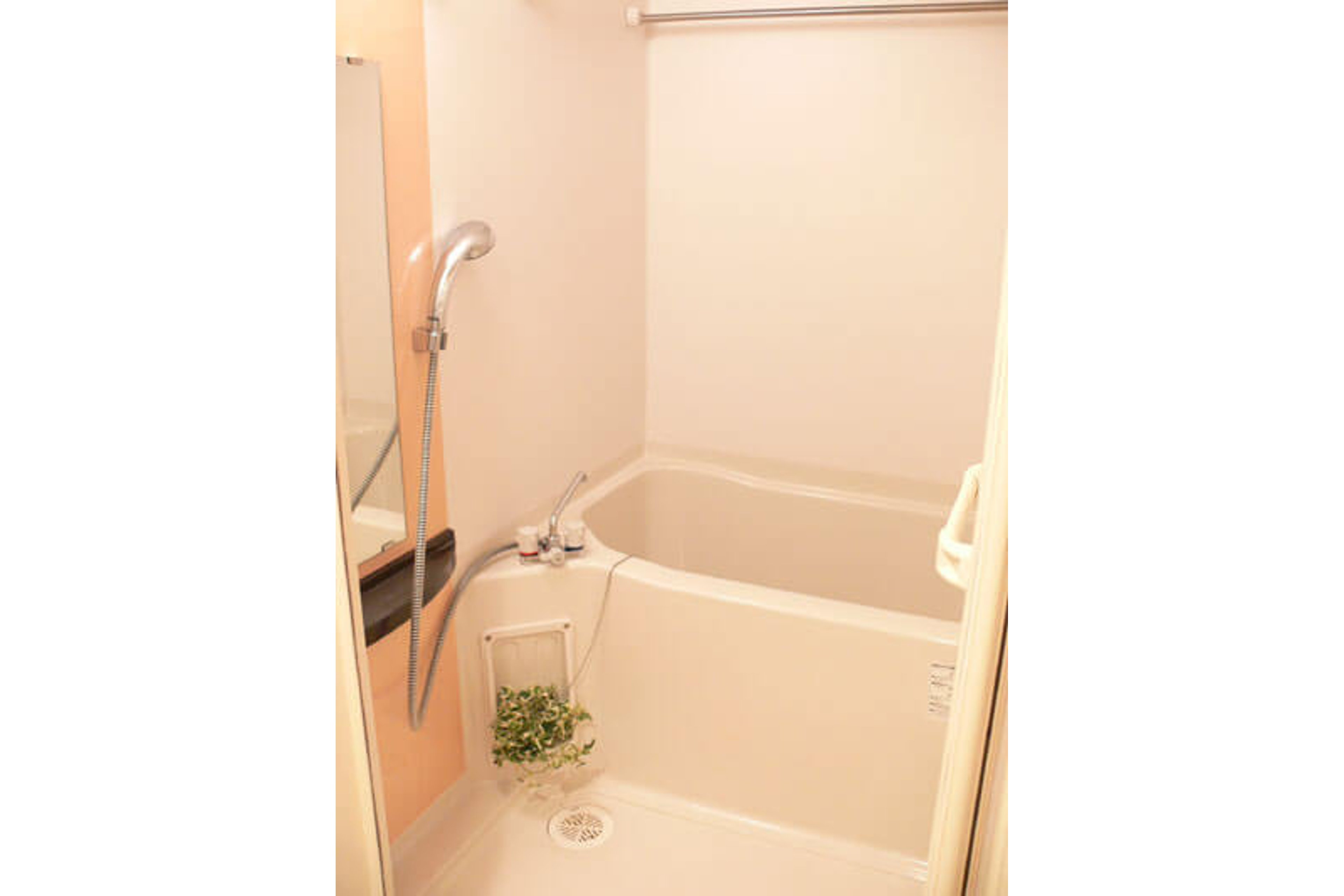 プラチナタイプのイメージ