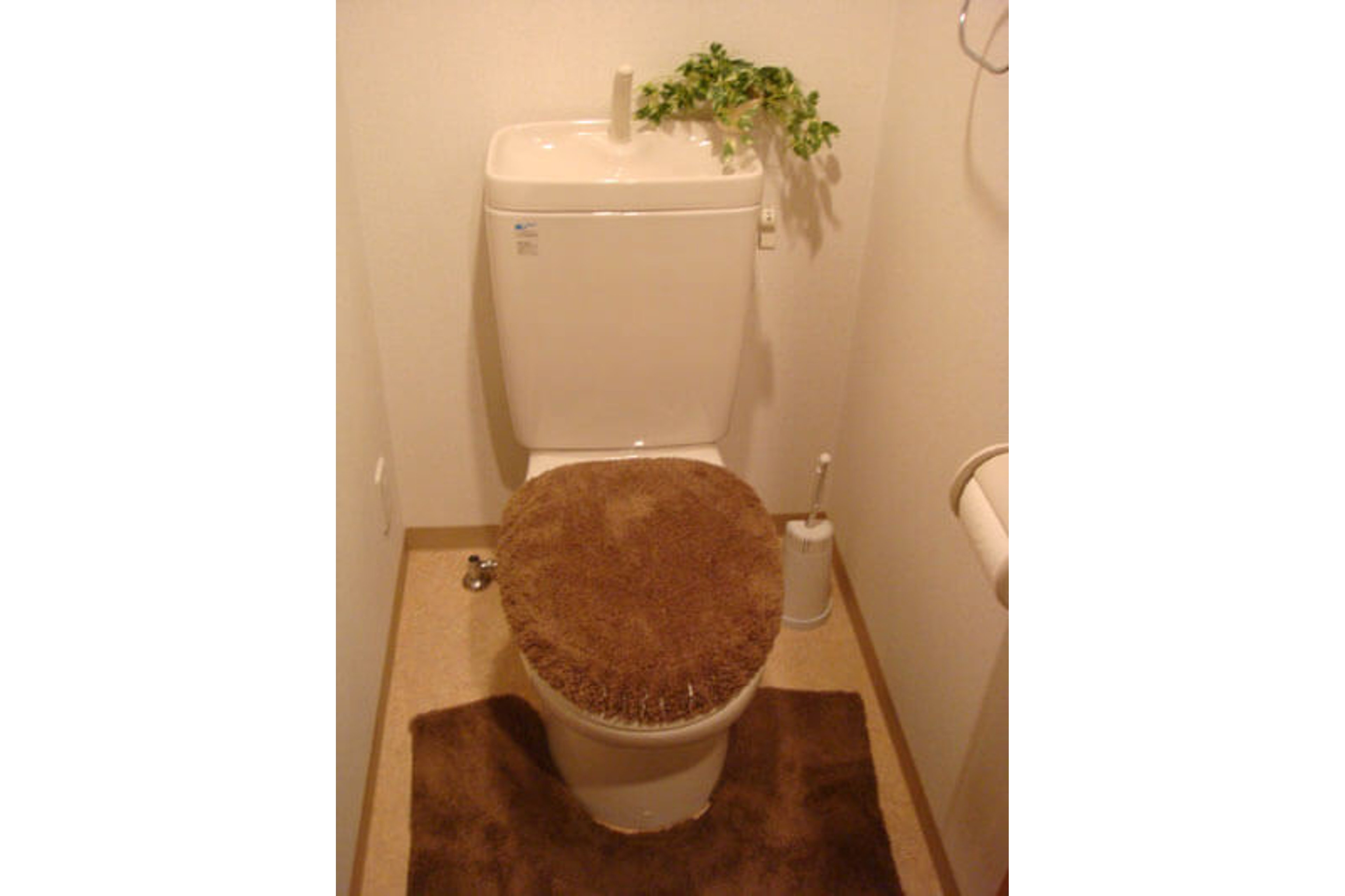 プラチナタイプのイメージ