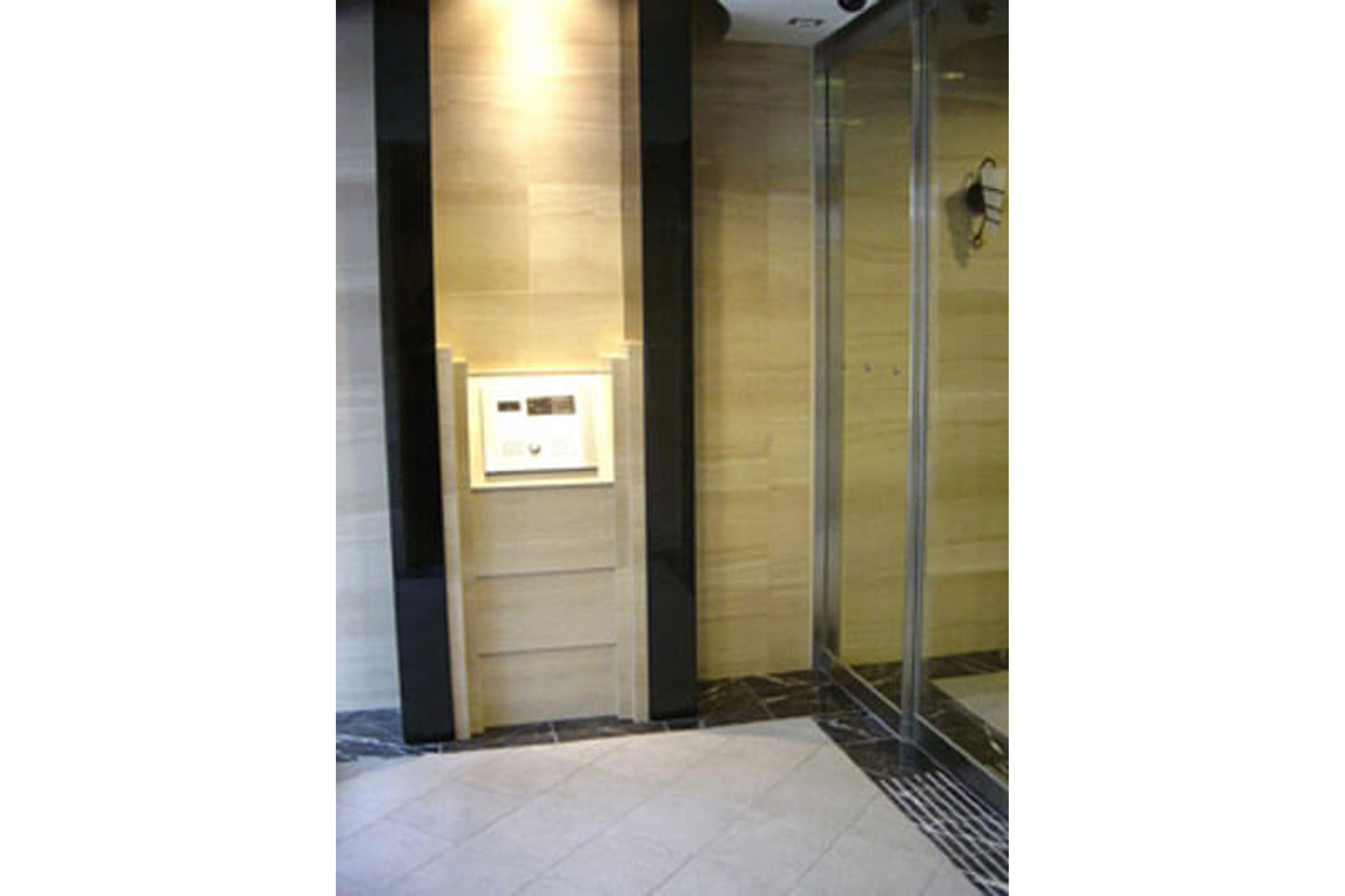 プラチナタイプのイメージ