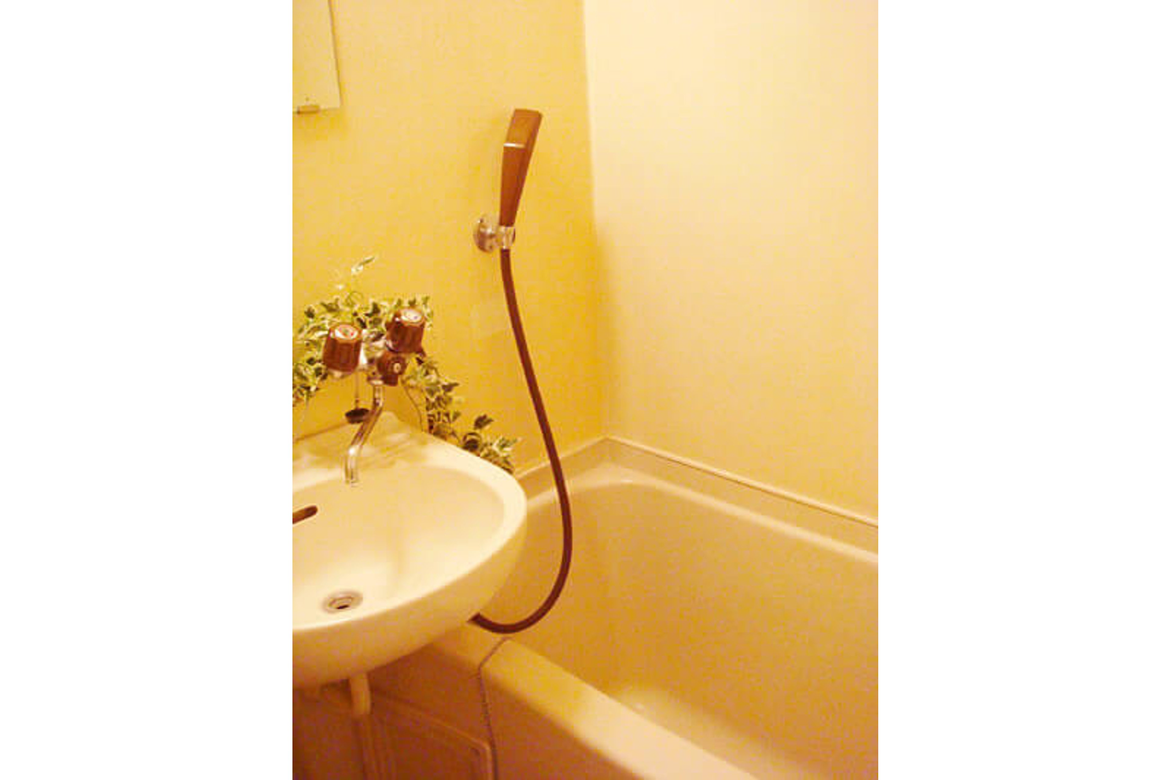 バリュータイプのイメージ