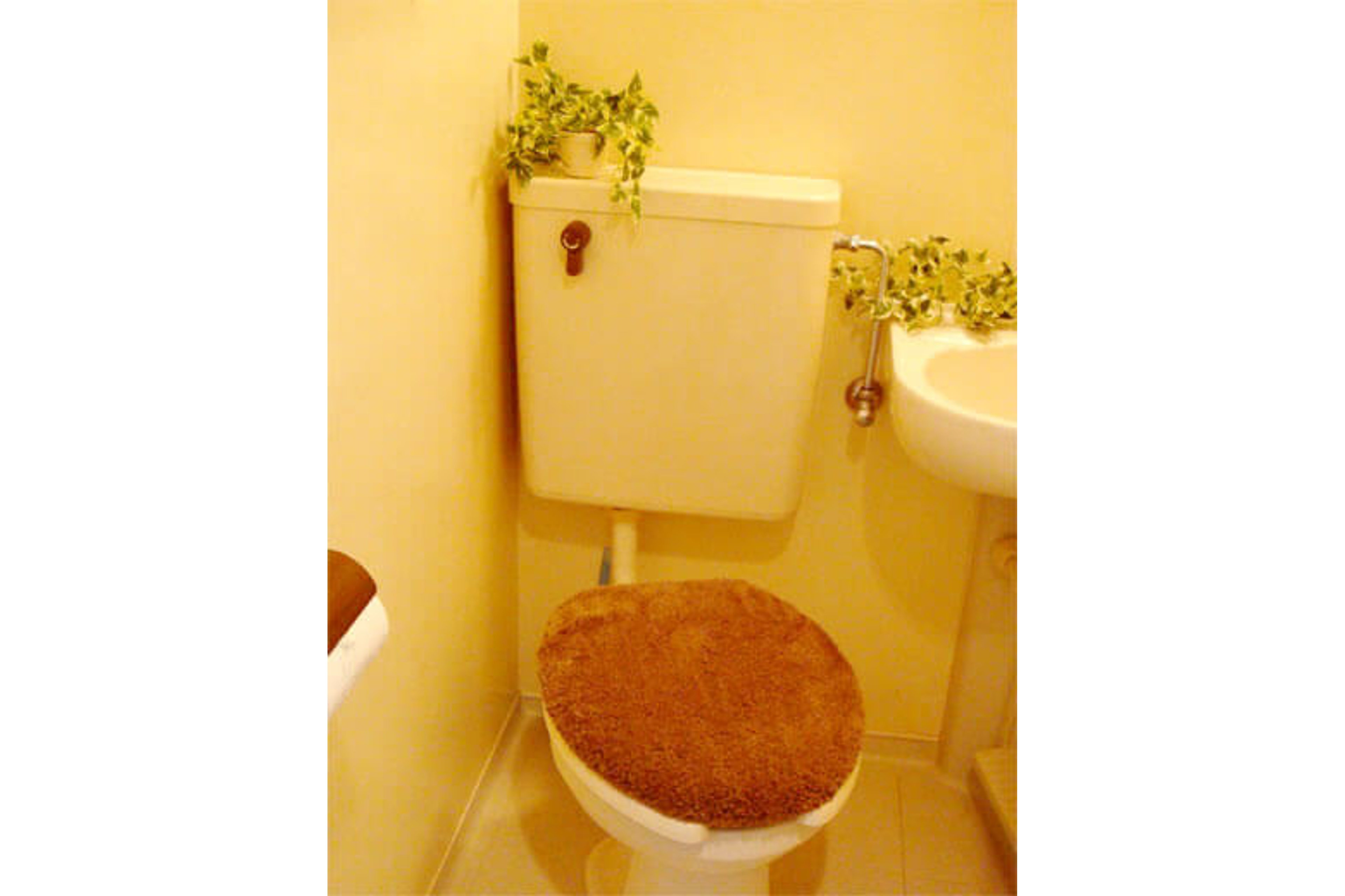 バリュータイプのイメージ