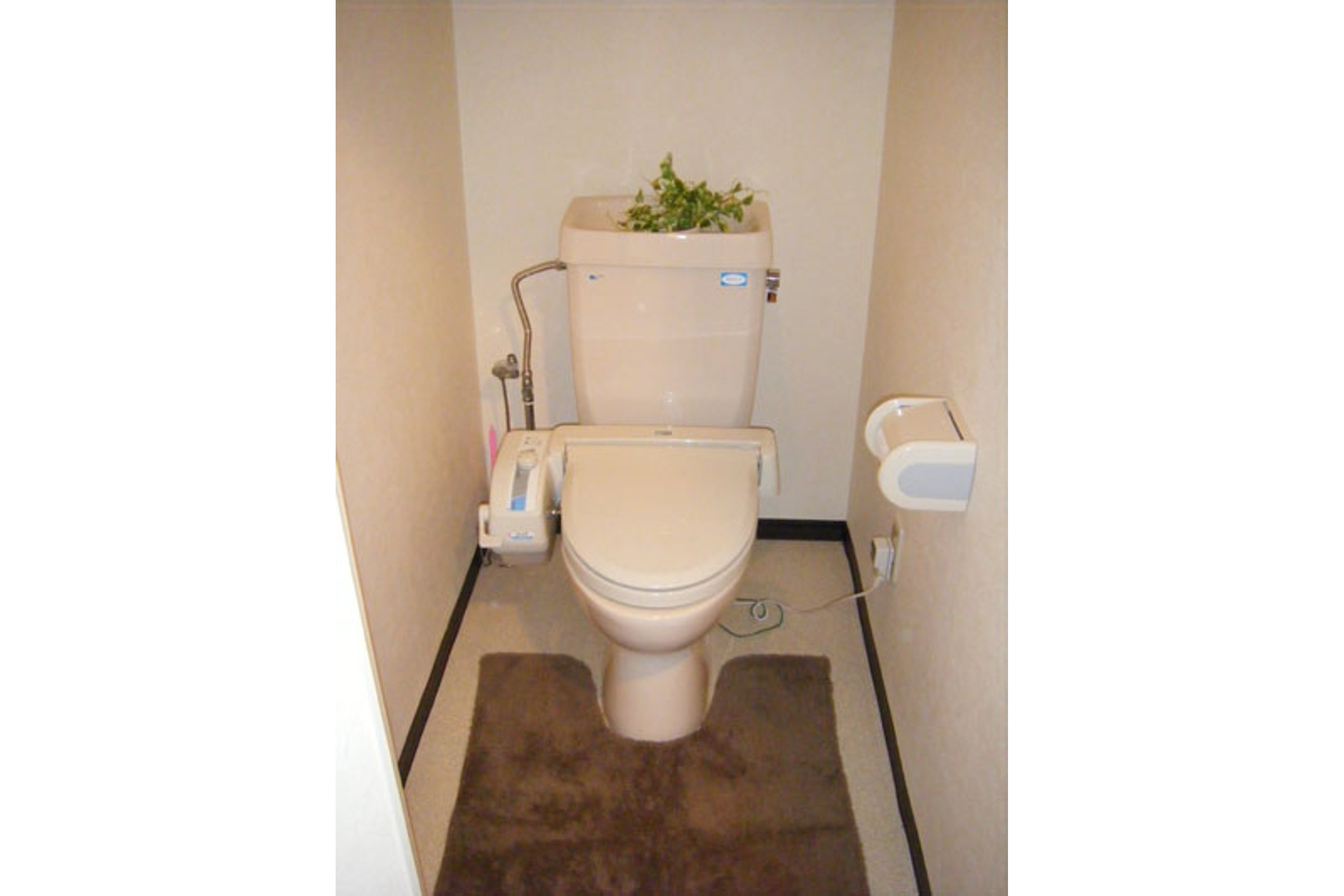 バリュータイプのイメージ