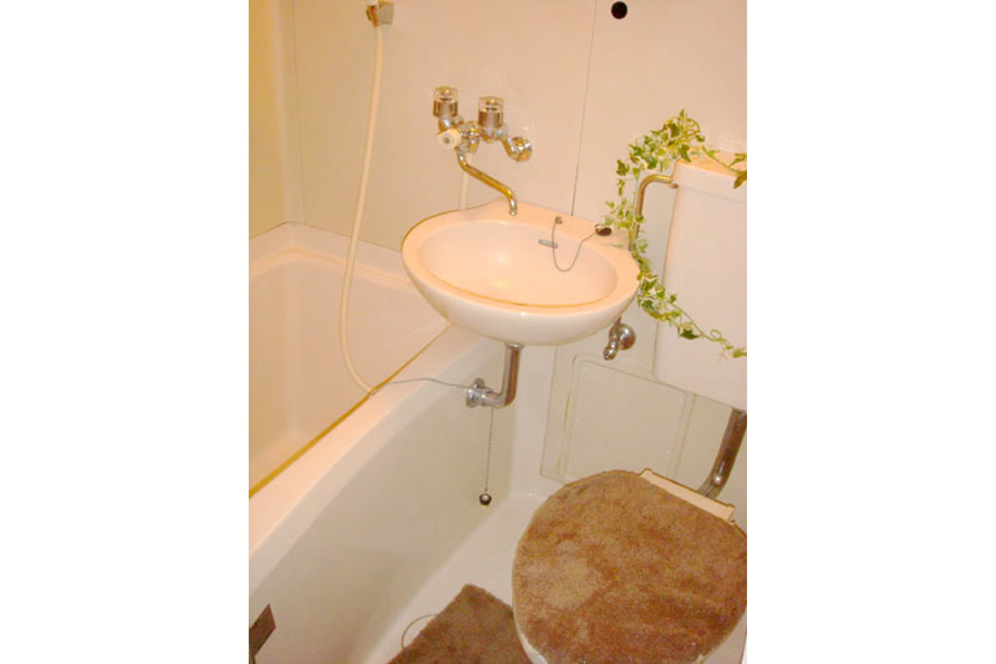 スタンダードタイプのイメージ