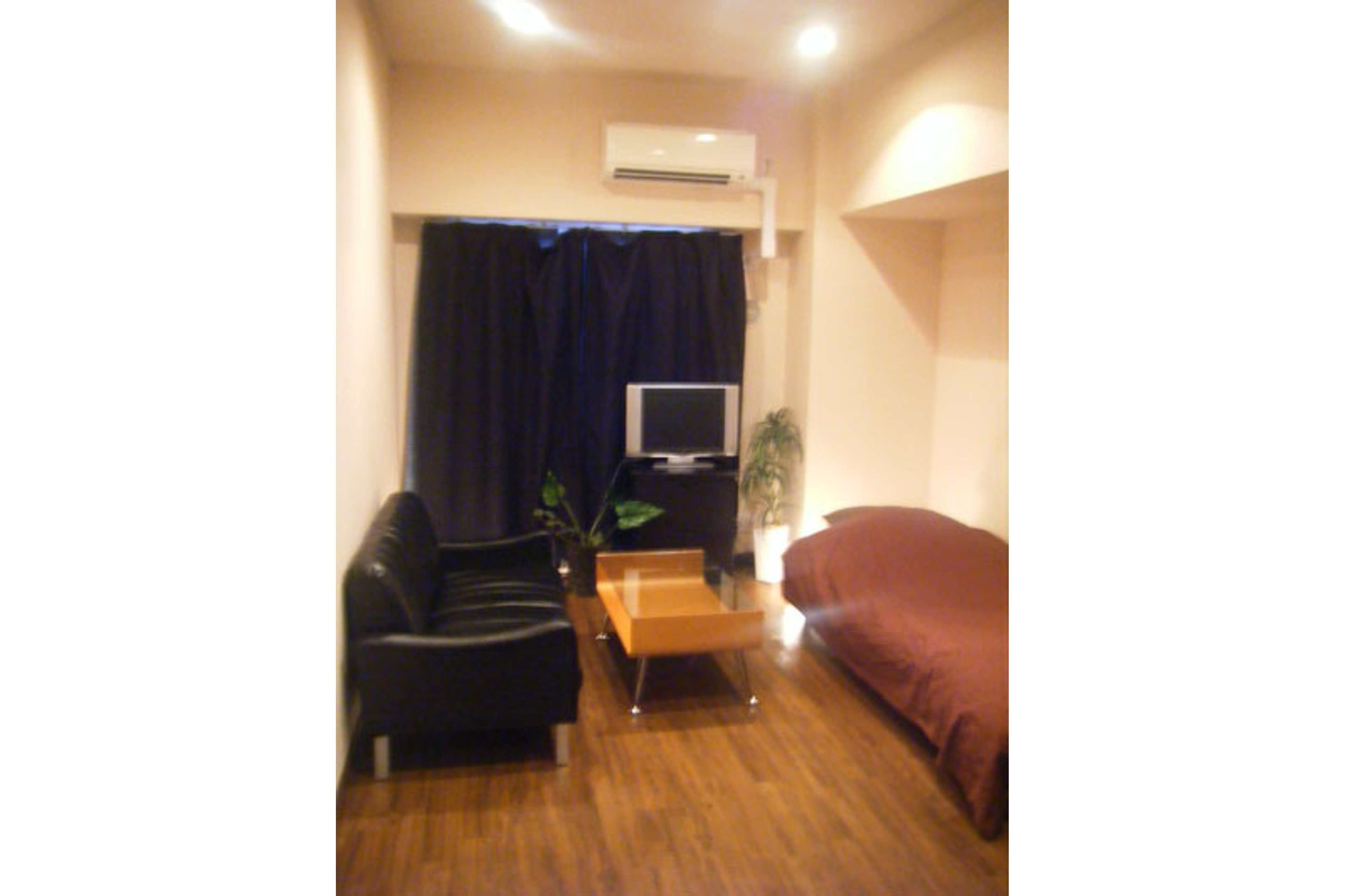 プラチナタイプのイメージ