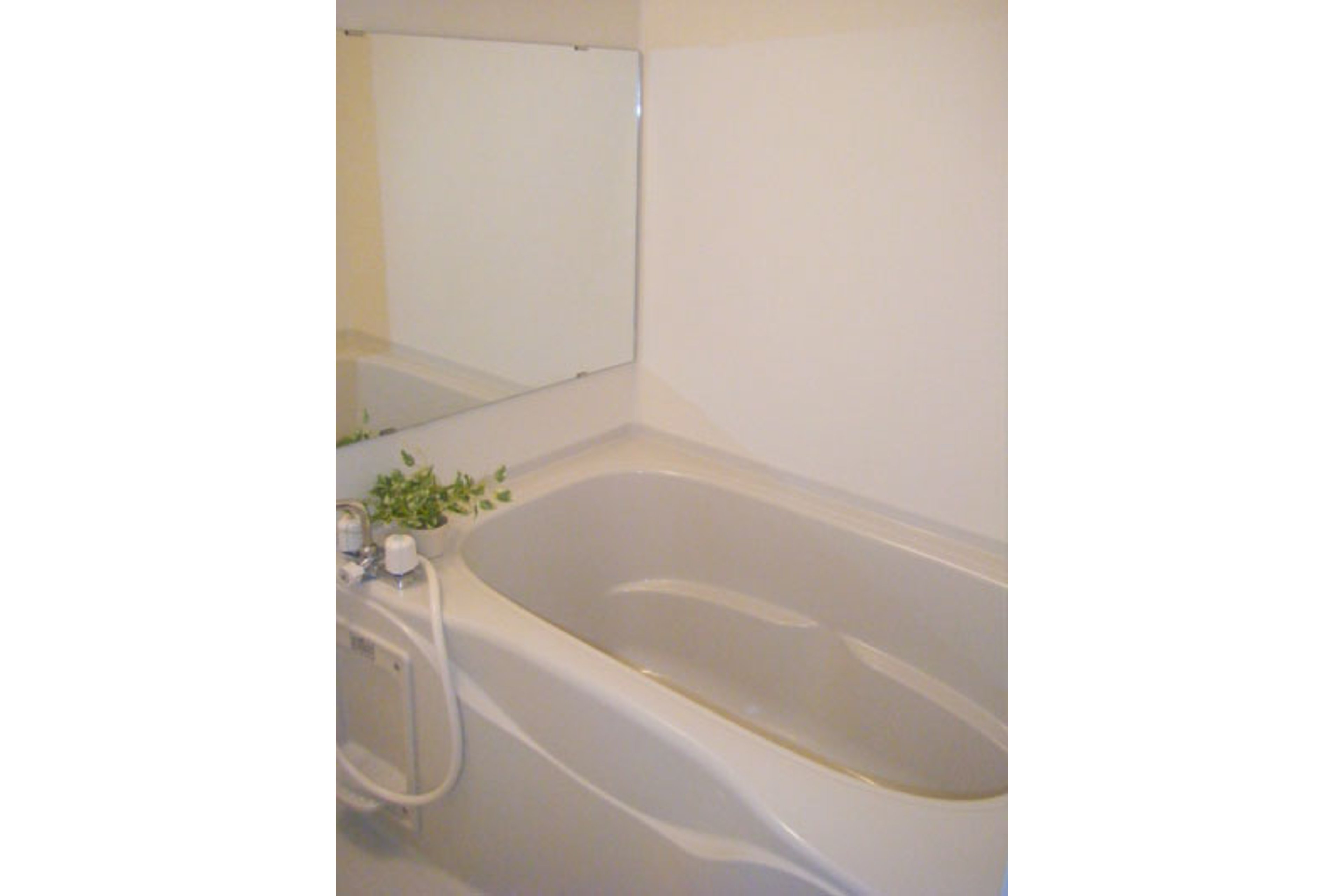 プラチナタイプのイメージ