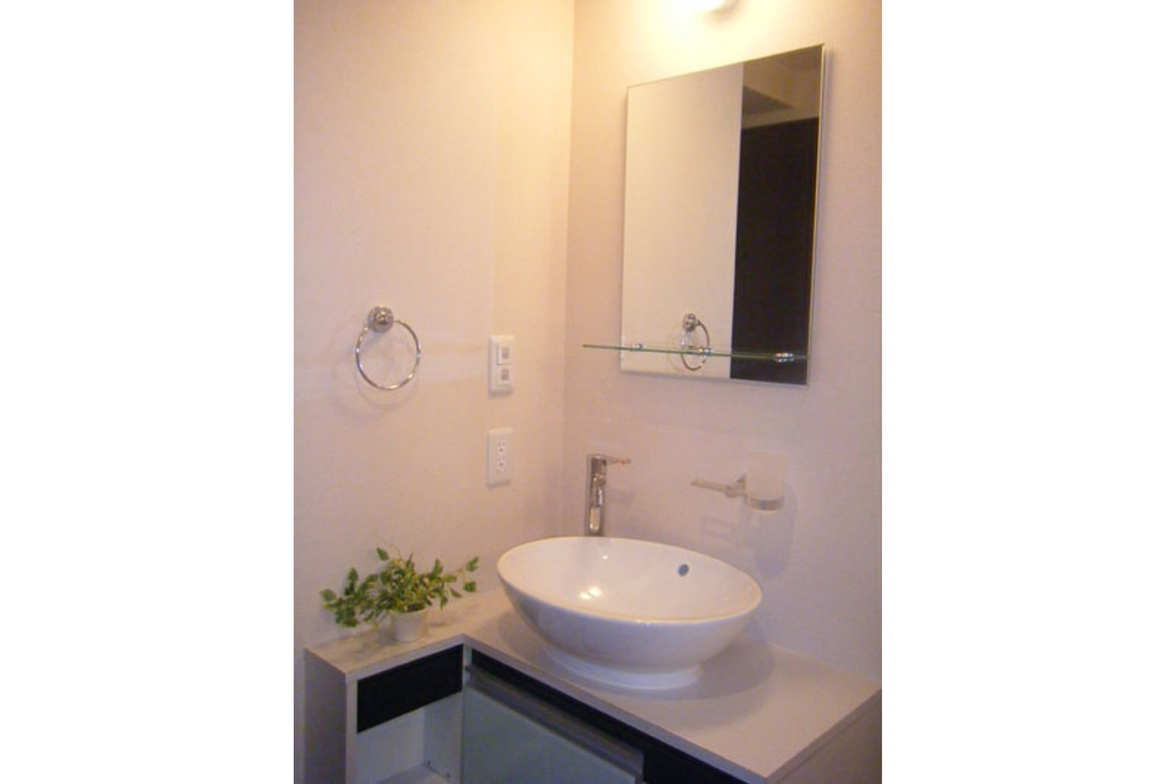 プラチナタイプのイメージ