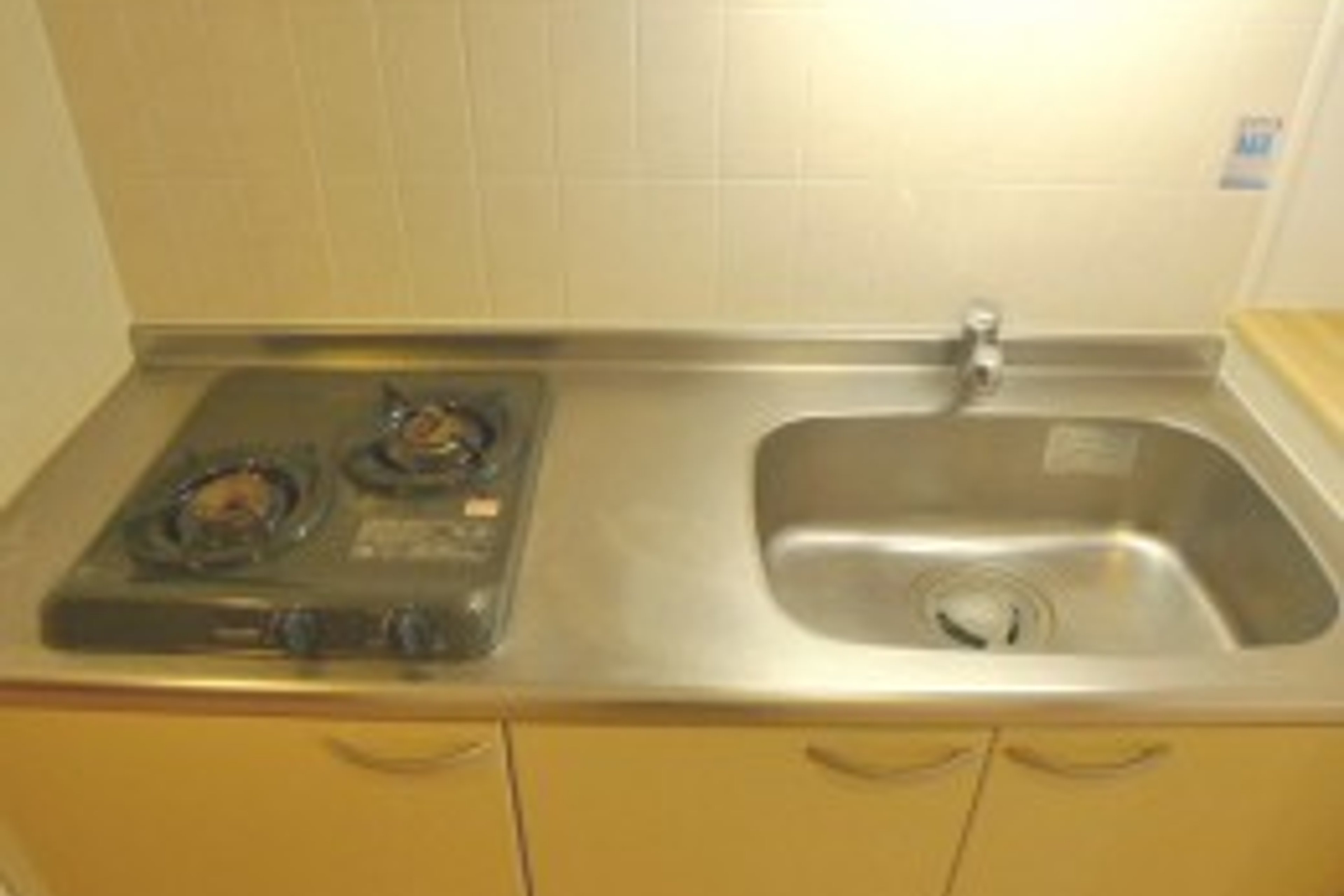 プラチナタイプのイメージ