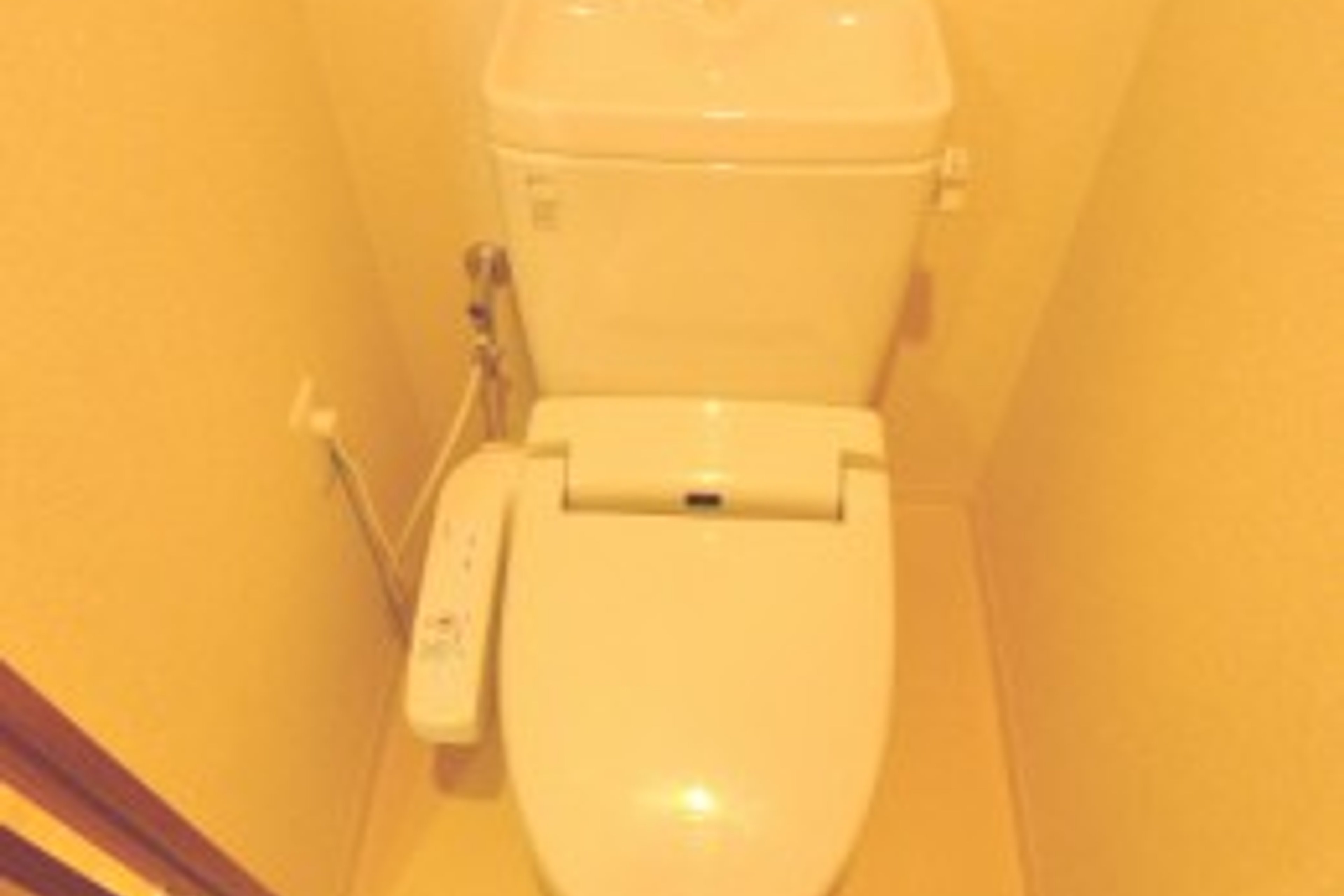 プラチナタイプのイメージ