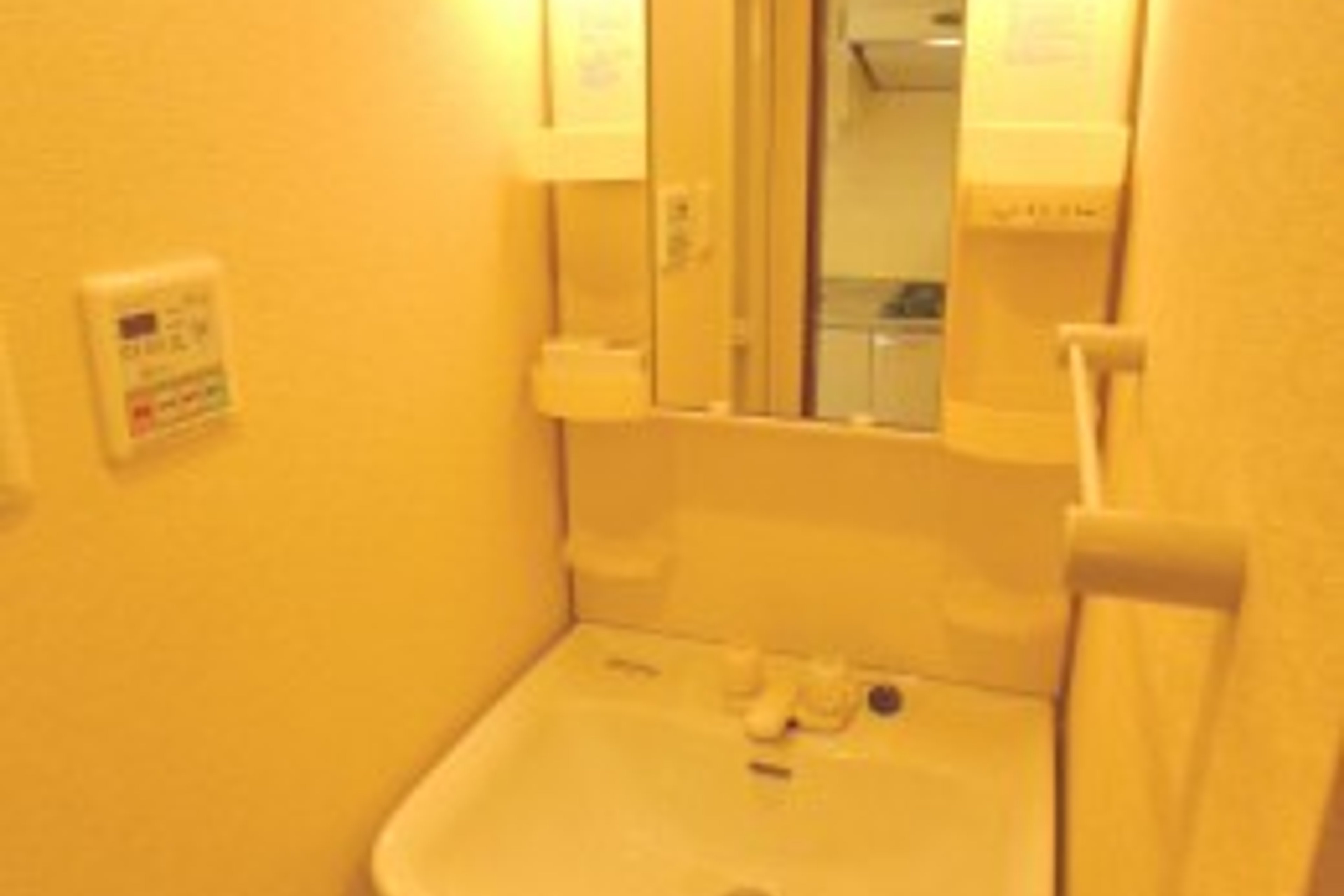 プラチナタイプのイメージ