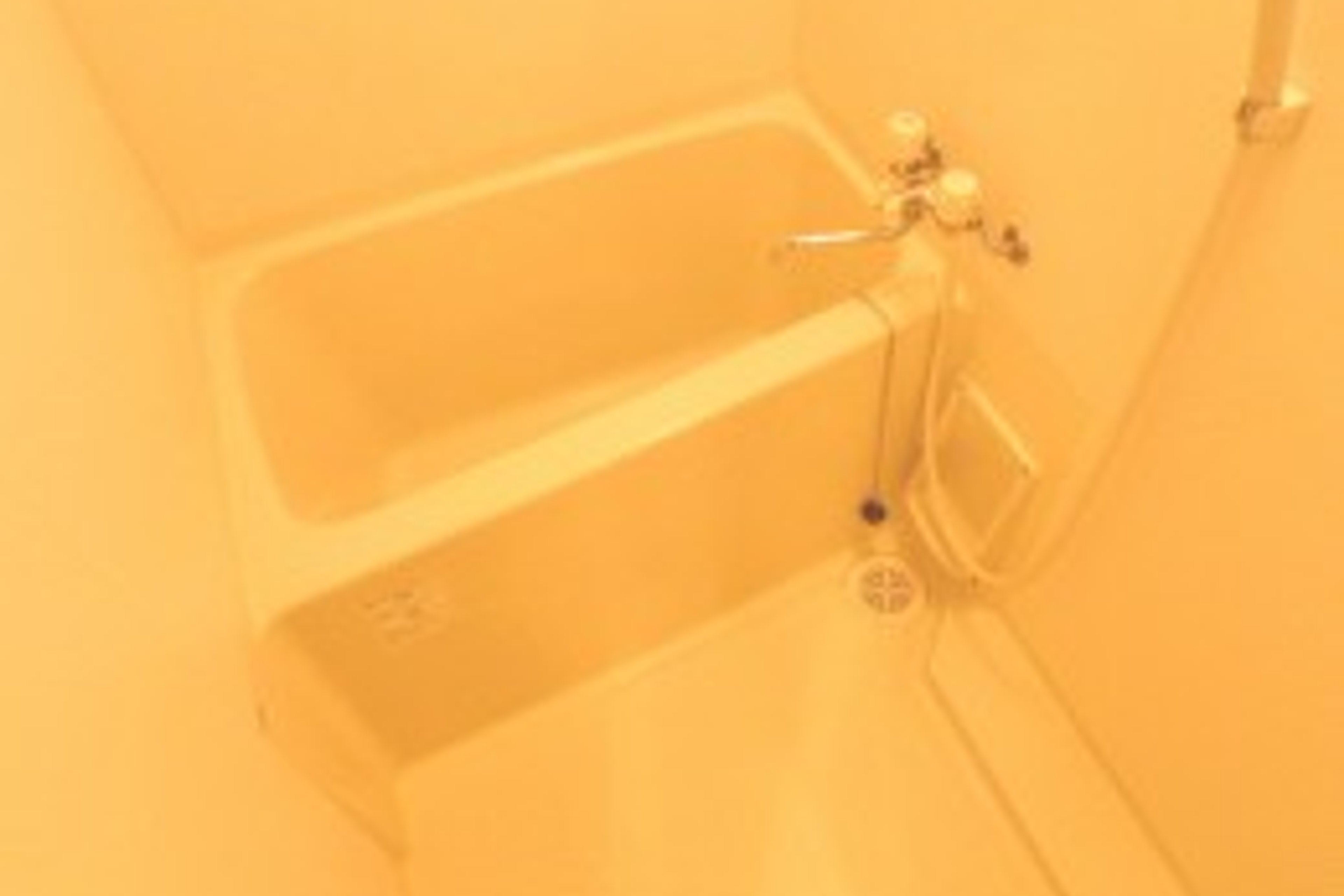 プラチナタイプのイメージ