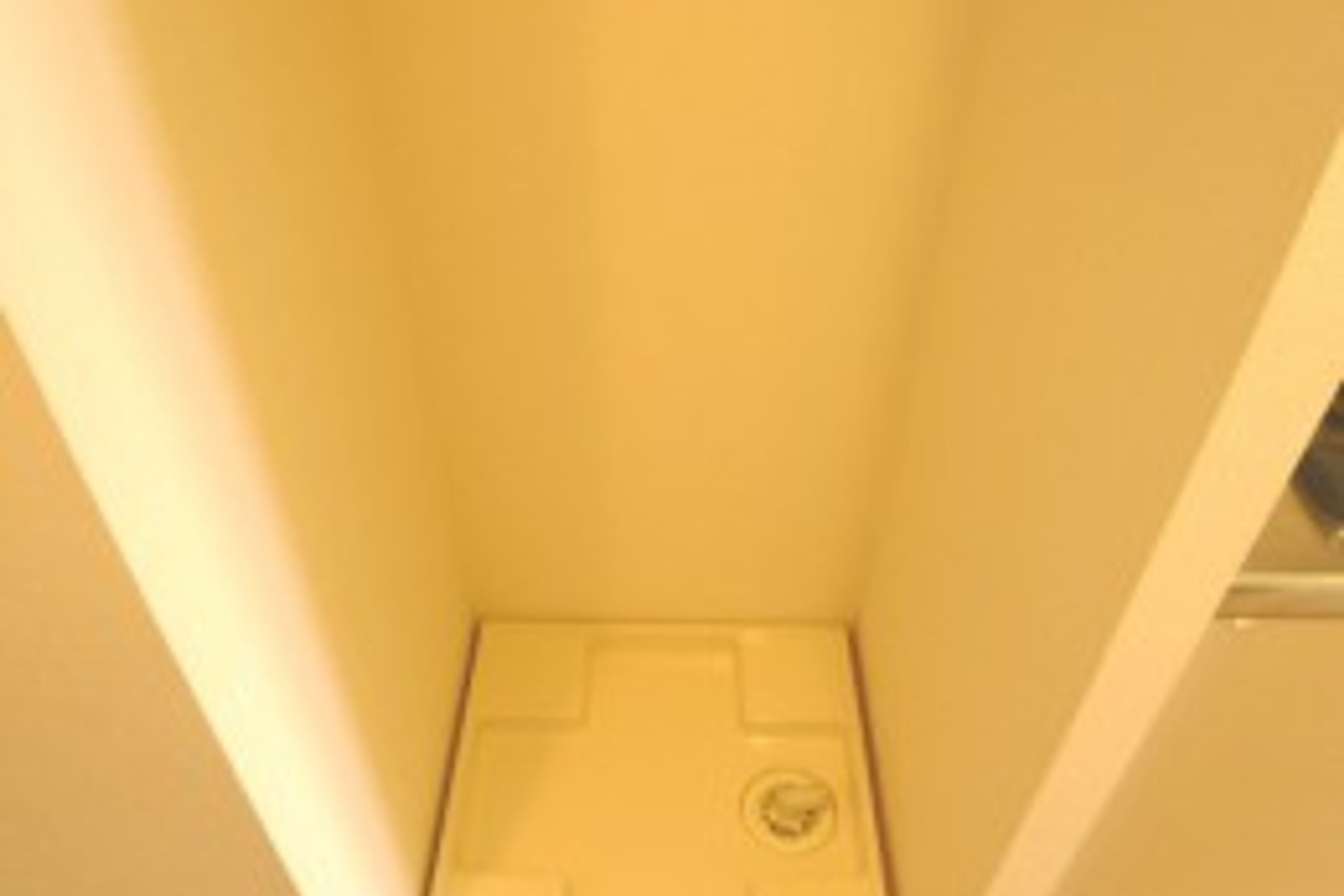 プラチナタイプのイメージ