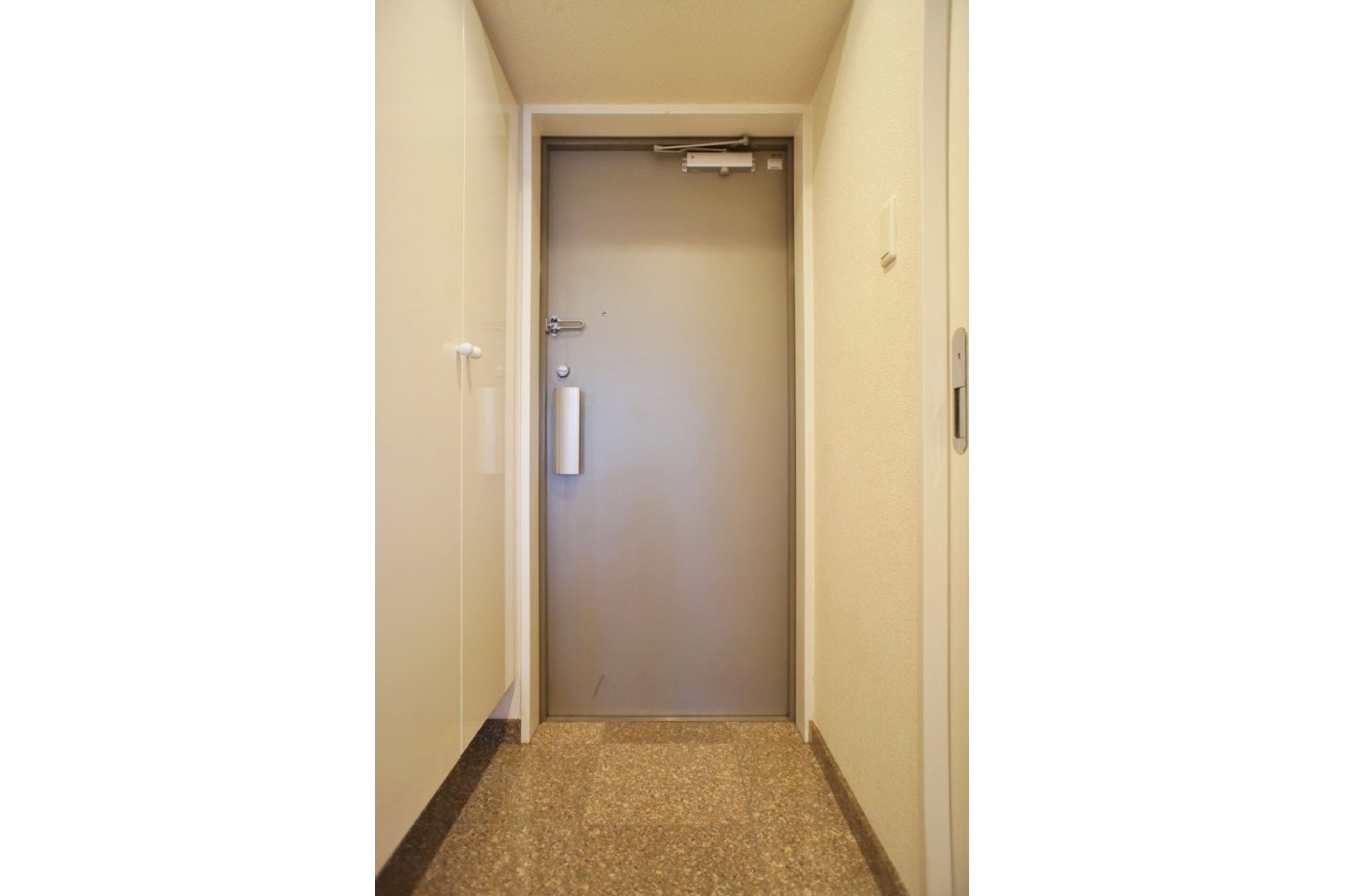 プラチナタイプのイメージ