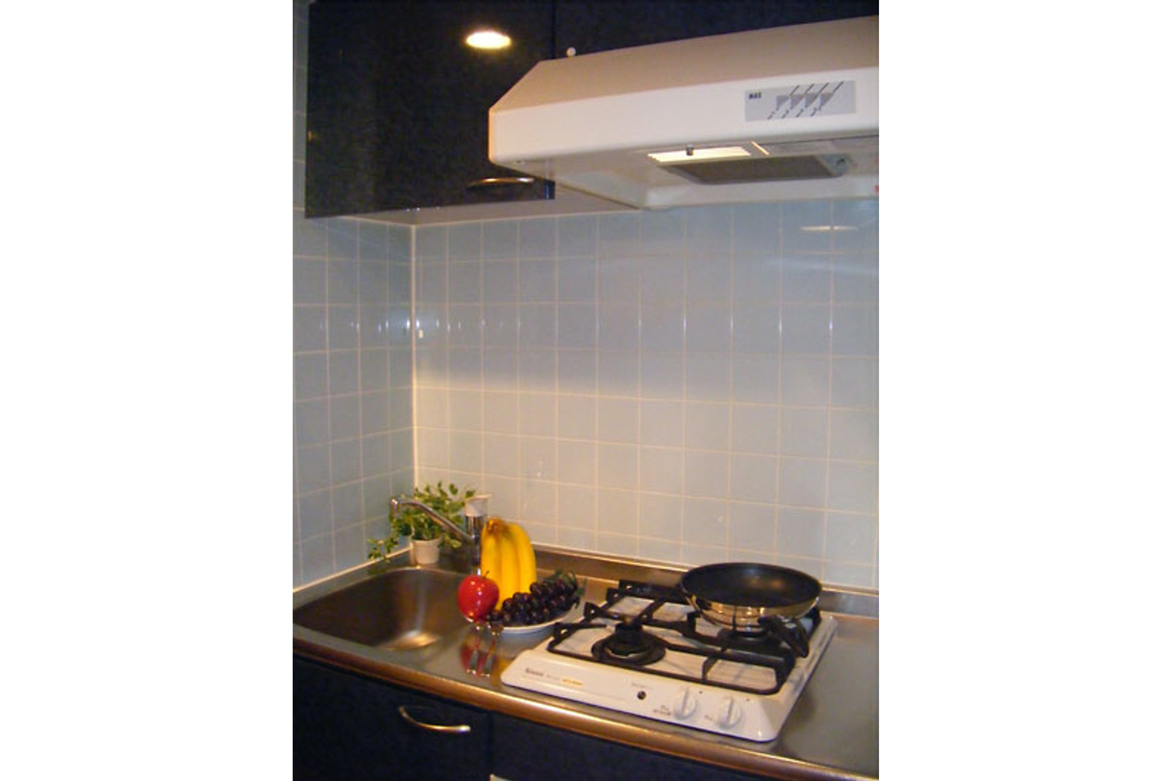 プラチナタイプのイメージ