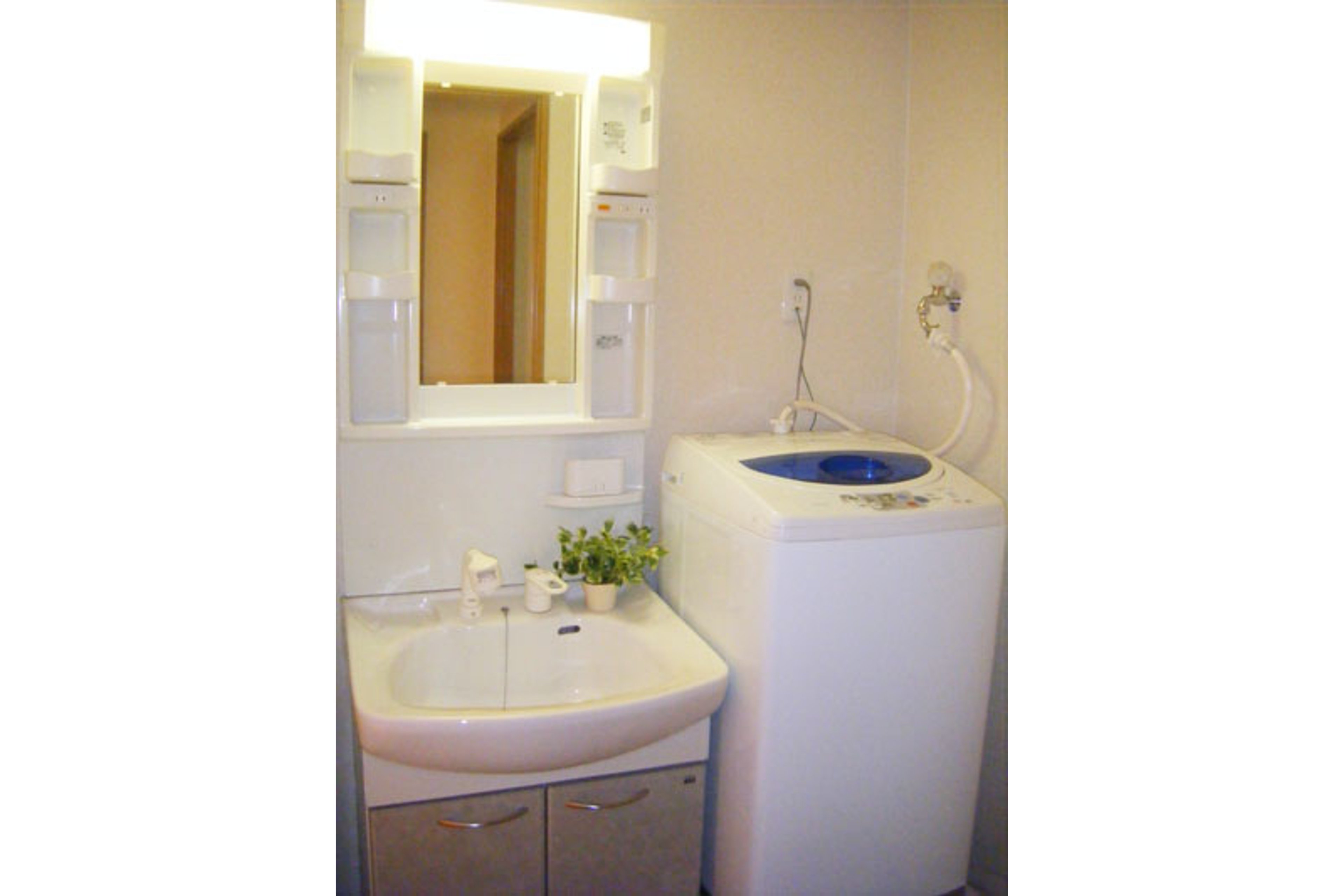 プラチナタイプのイメージ