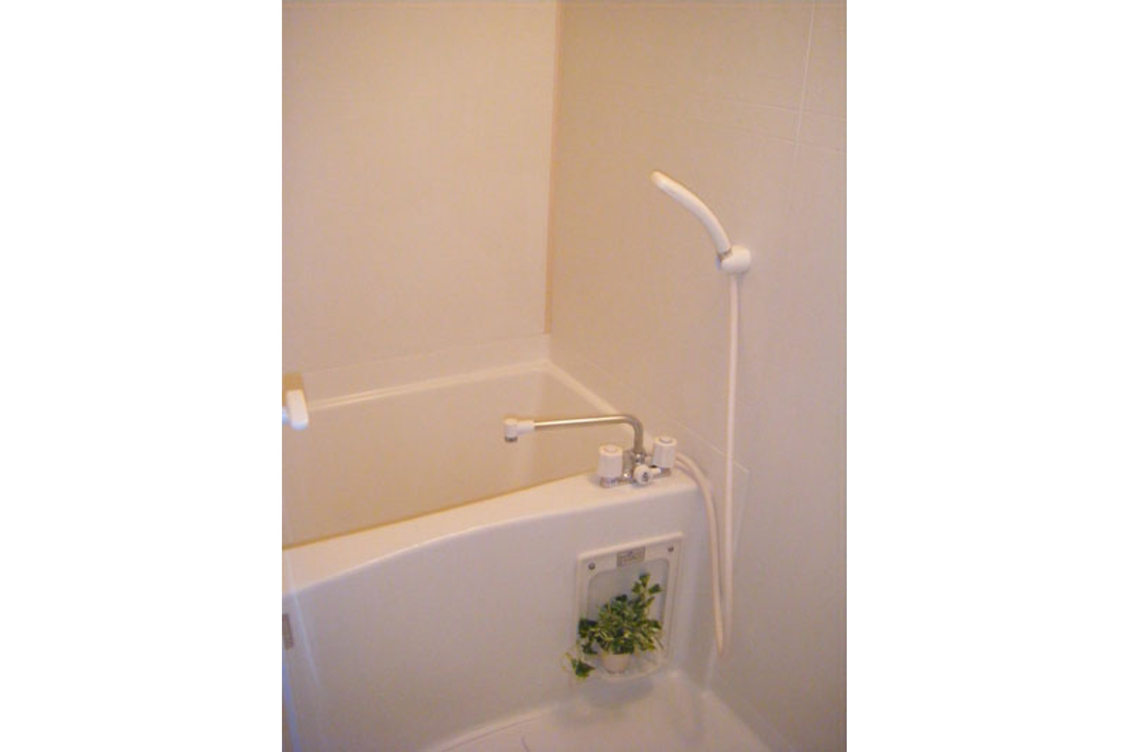 プラチナタイプのイメージ