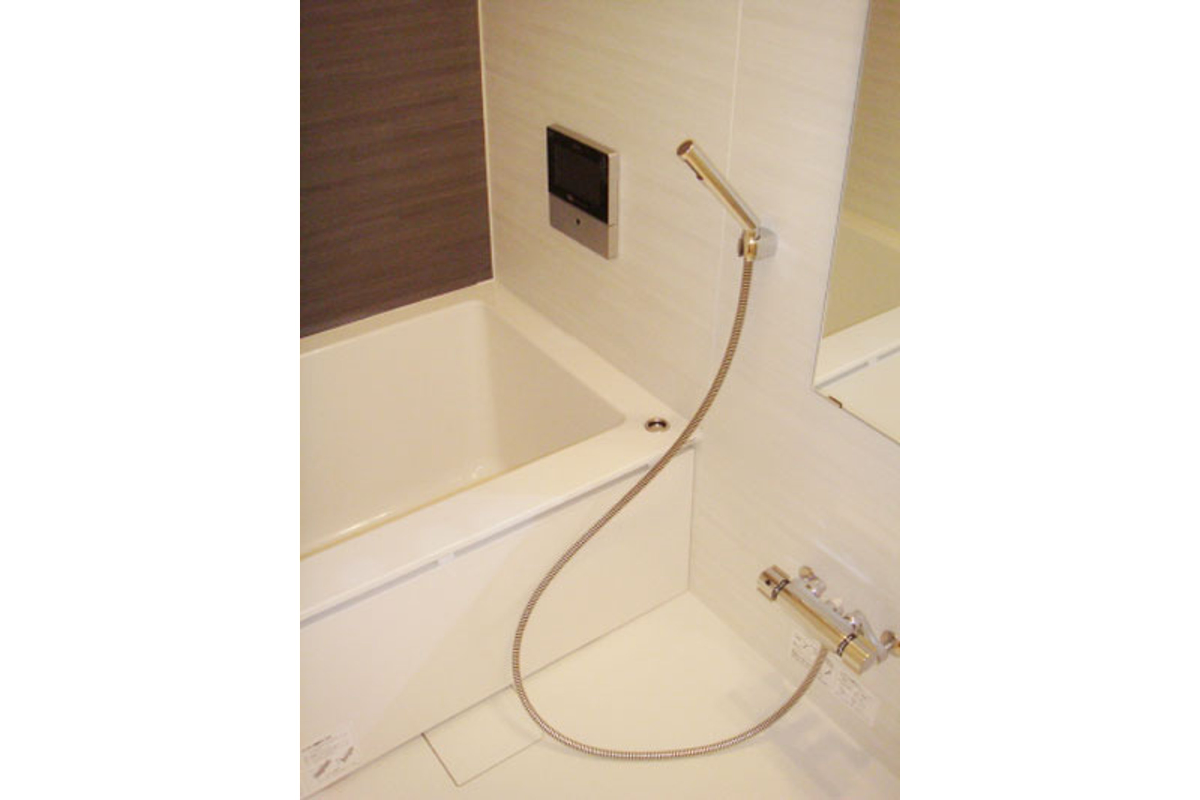 プラチナタイプのイメージ