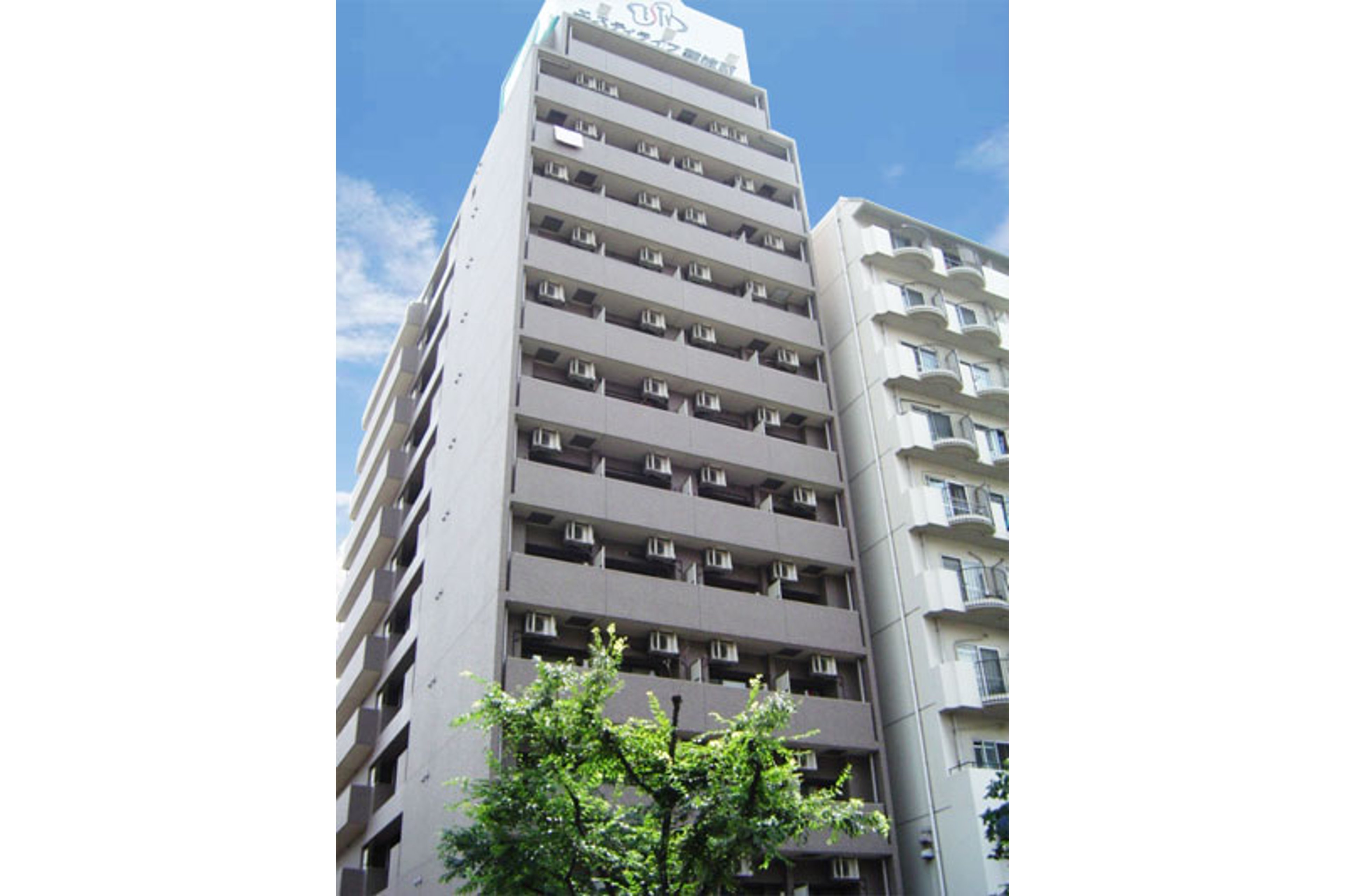 スタンダードタイプのイメージ