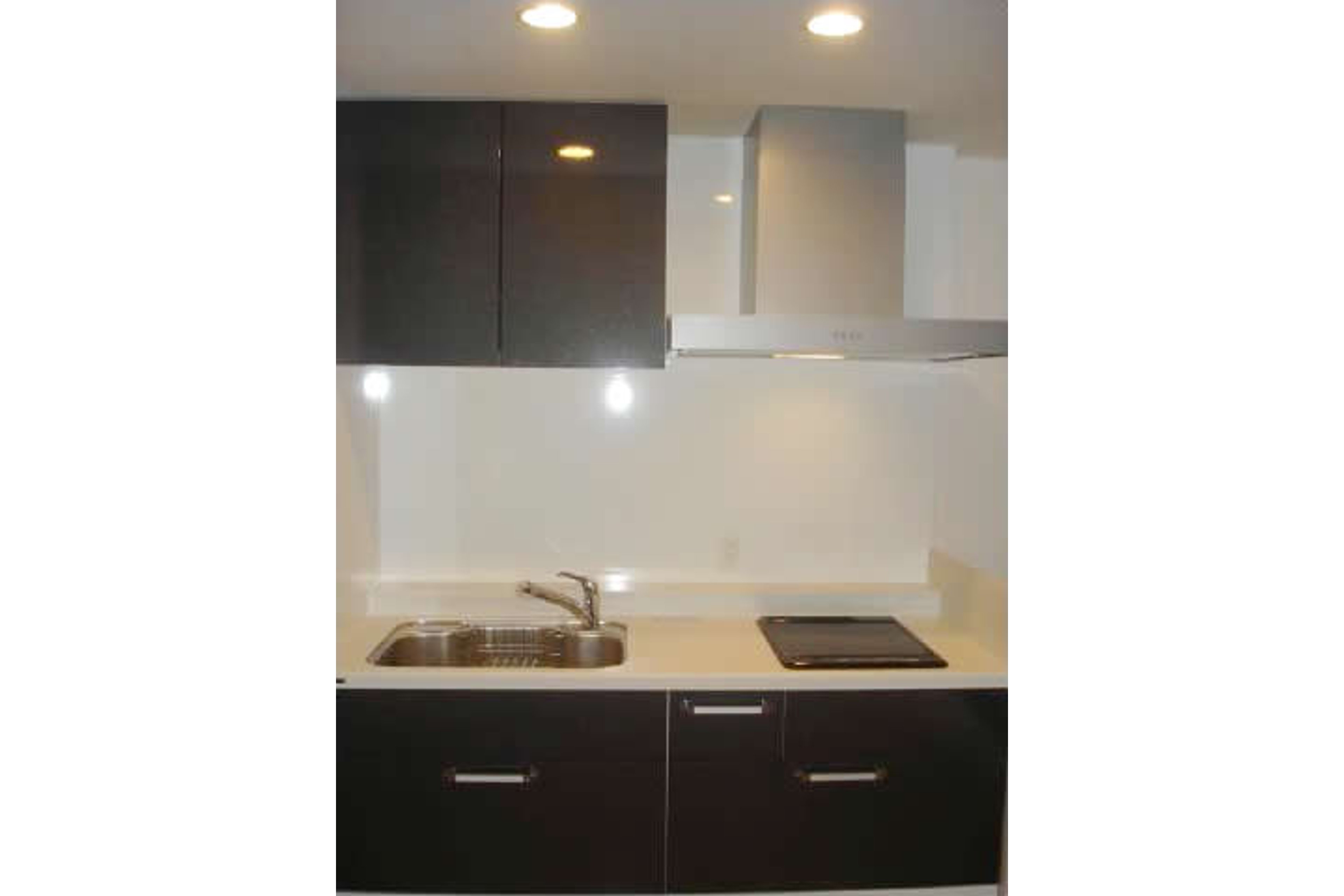 プラチナタイプのイメージ