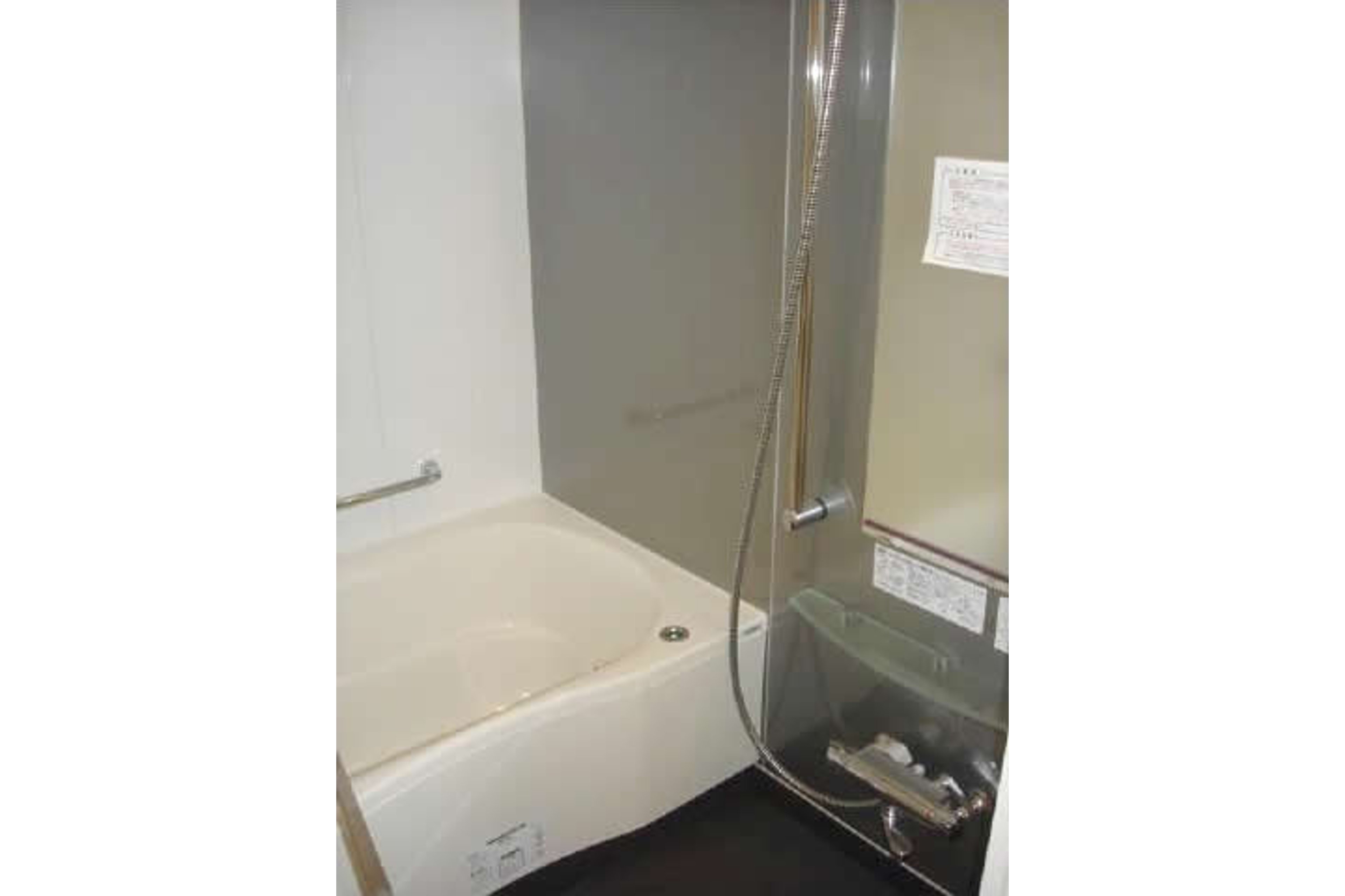 プラチナタイプのイメージ