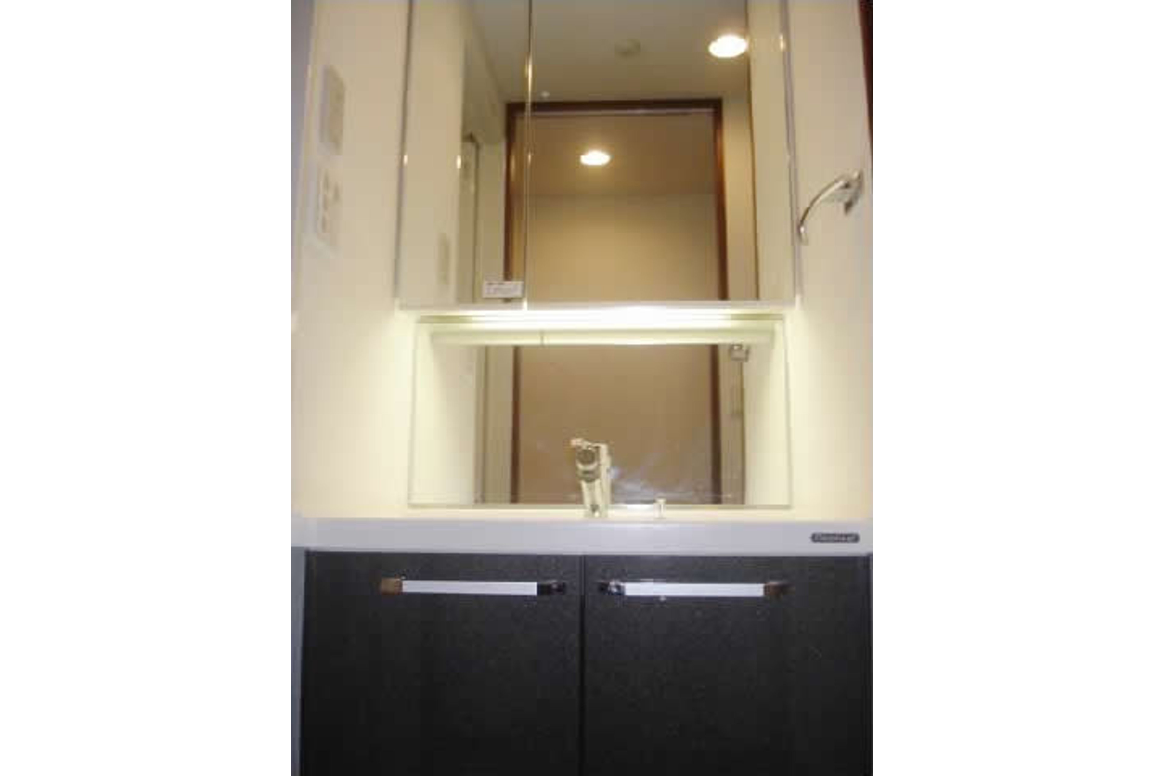 プラチナタイプのイメージ