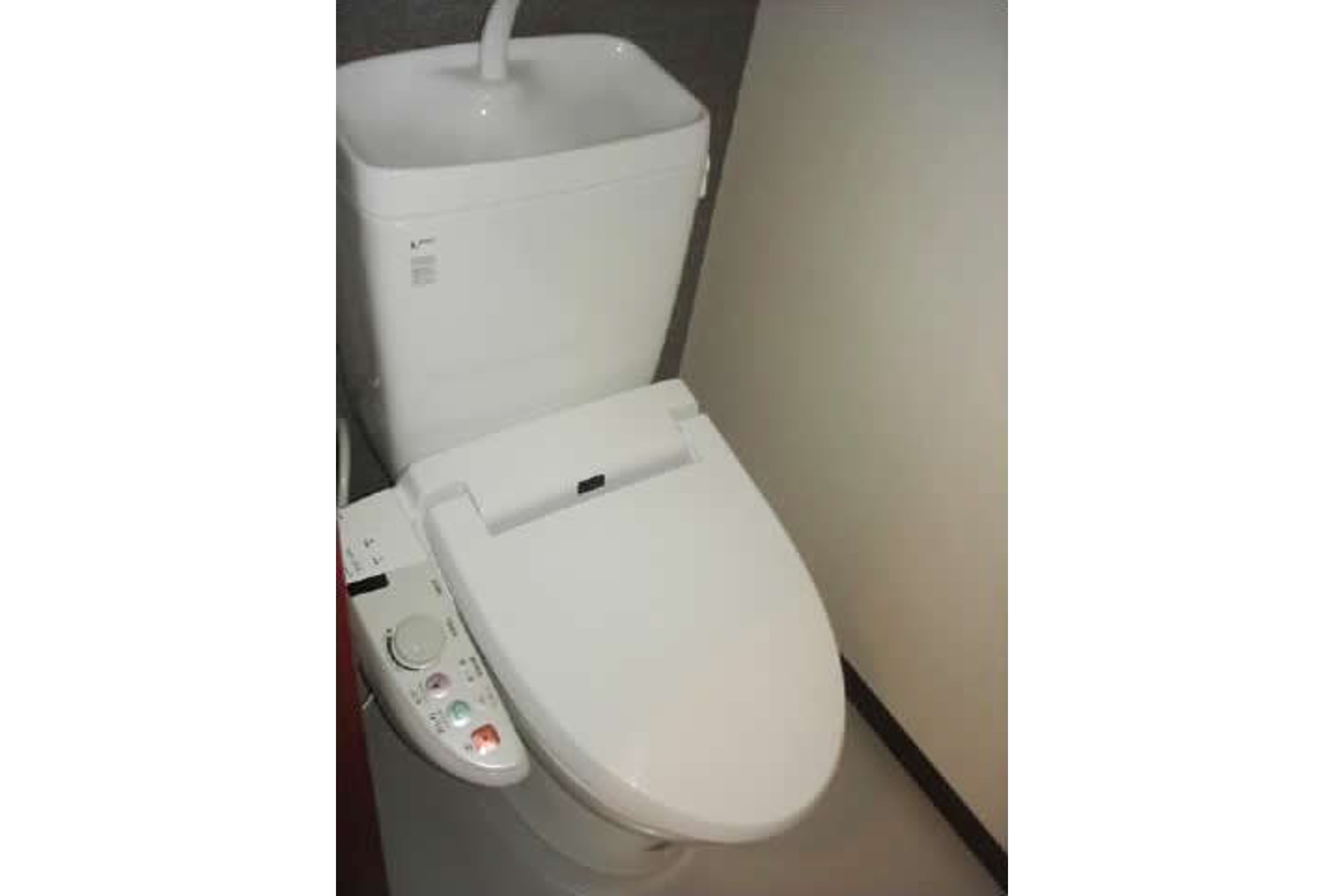 プラチナタイプのイメージ