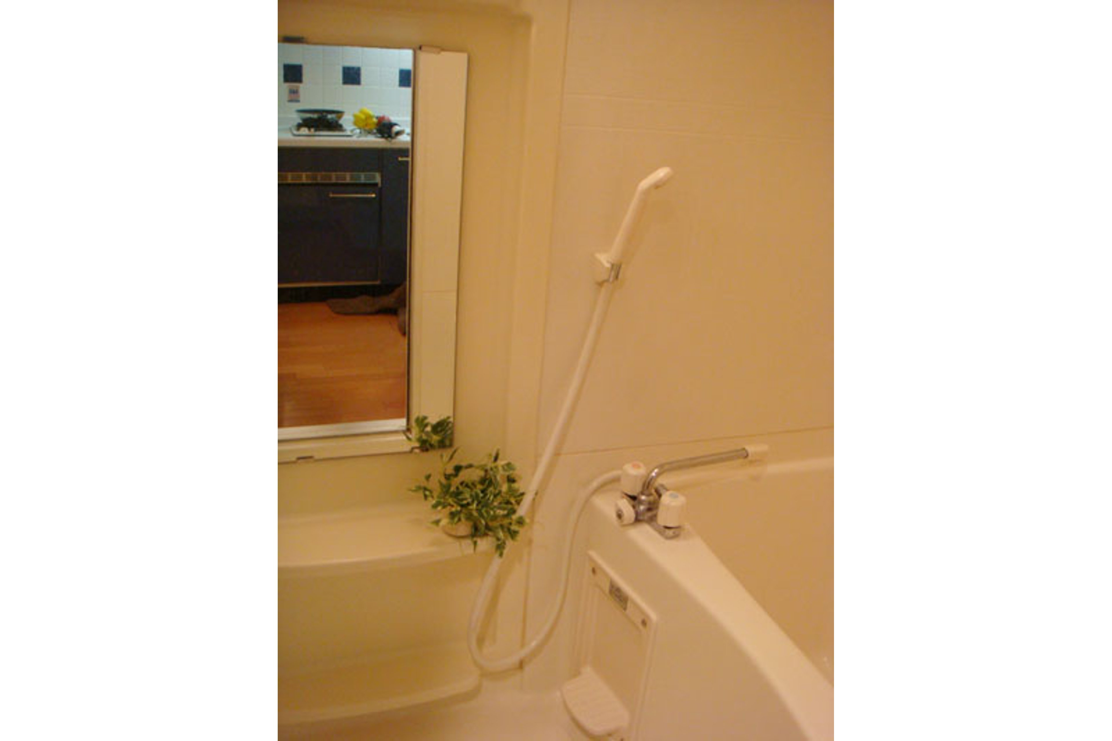 ハイグレードタイプのイメージ